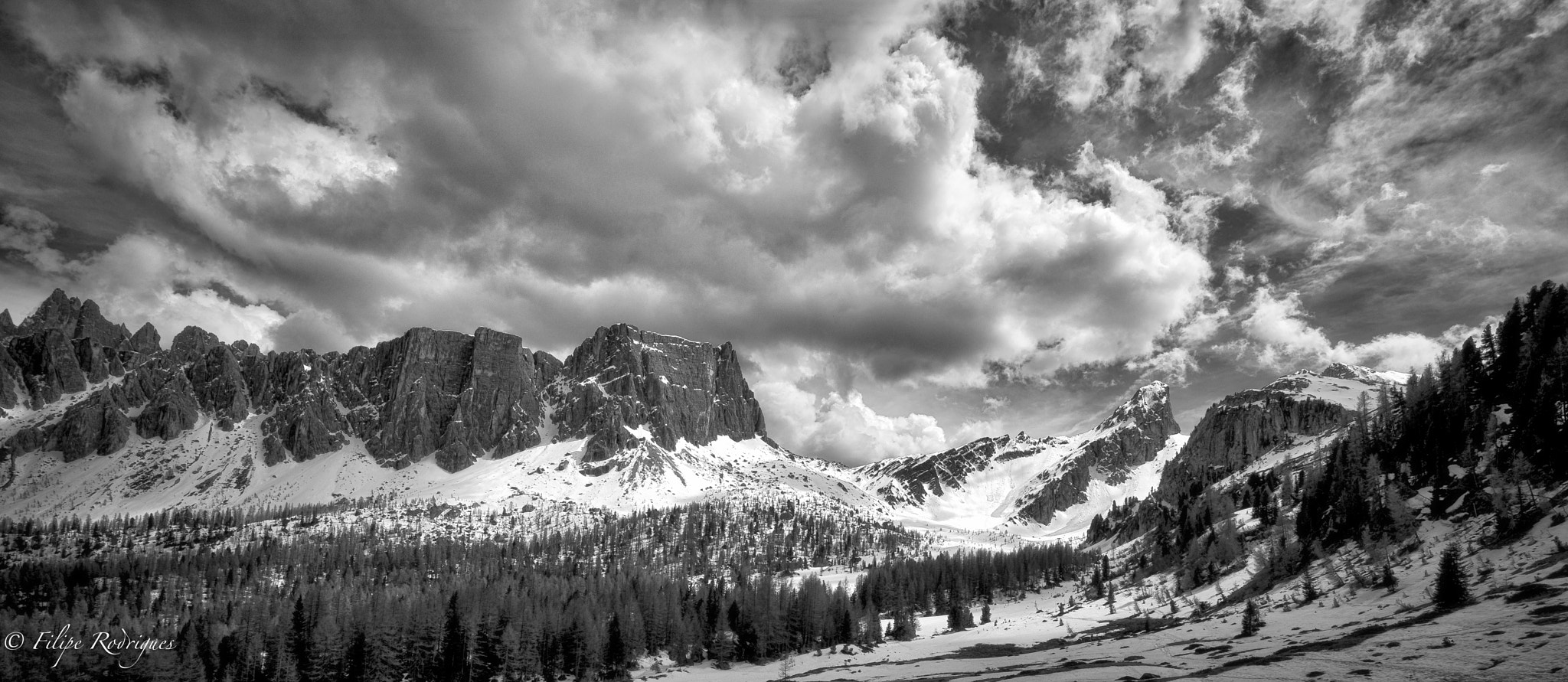 Nikon AF-S Nikkor 16-35mm F4G ED VR sample photo. B&w photography