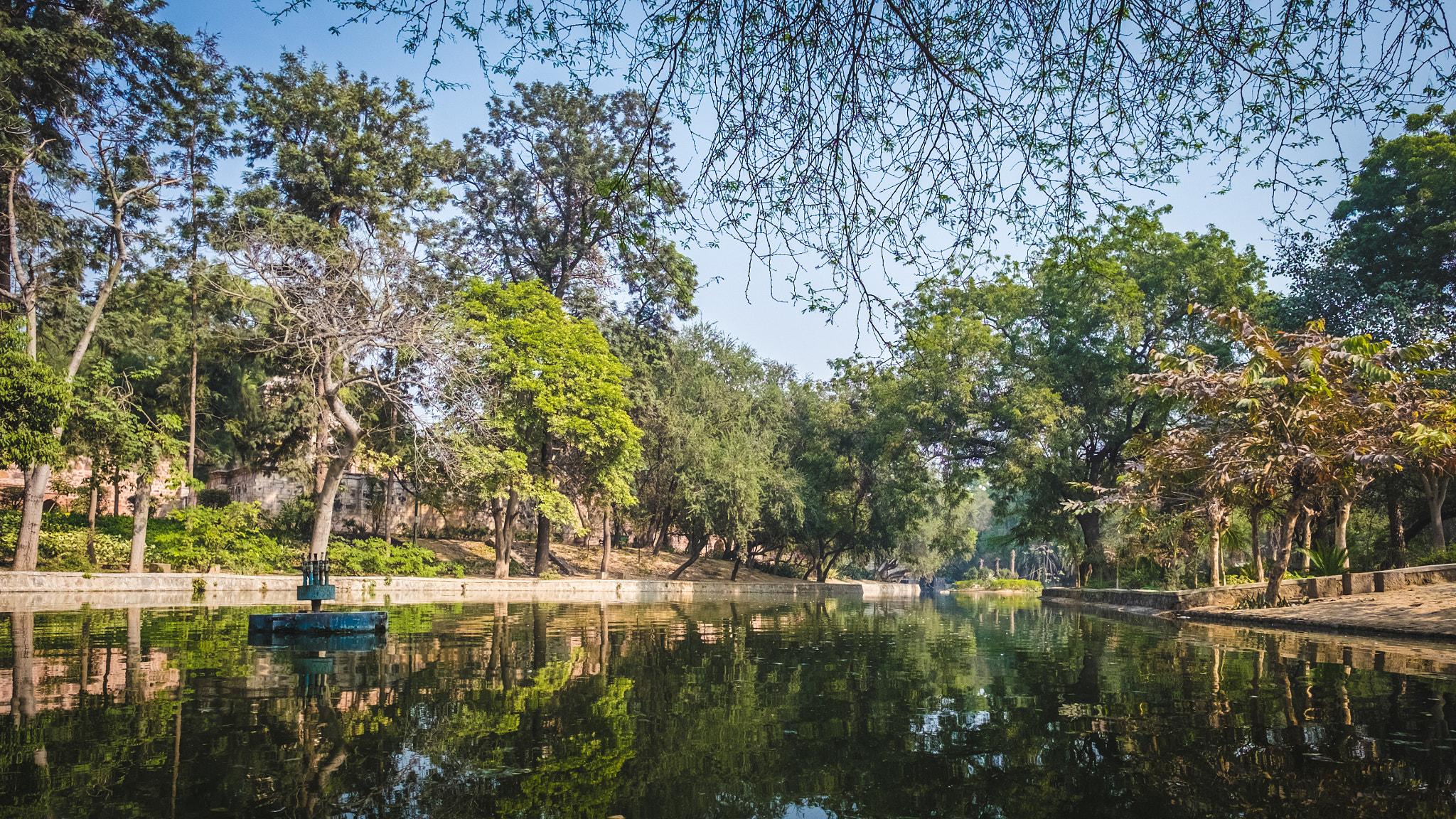 Fujifilm X-T1 + Fujifilm XF 14mm F2.8 R sample photo. Lodhi garden photography