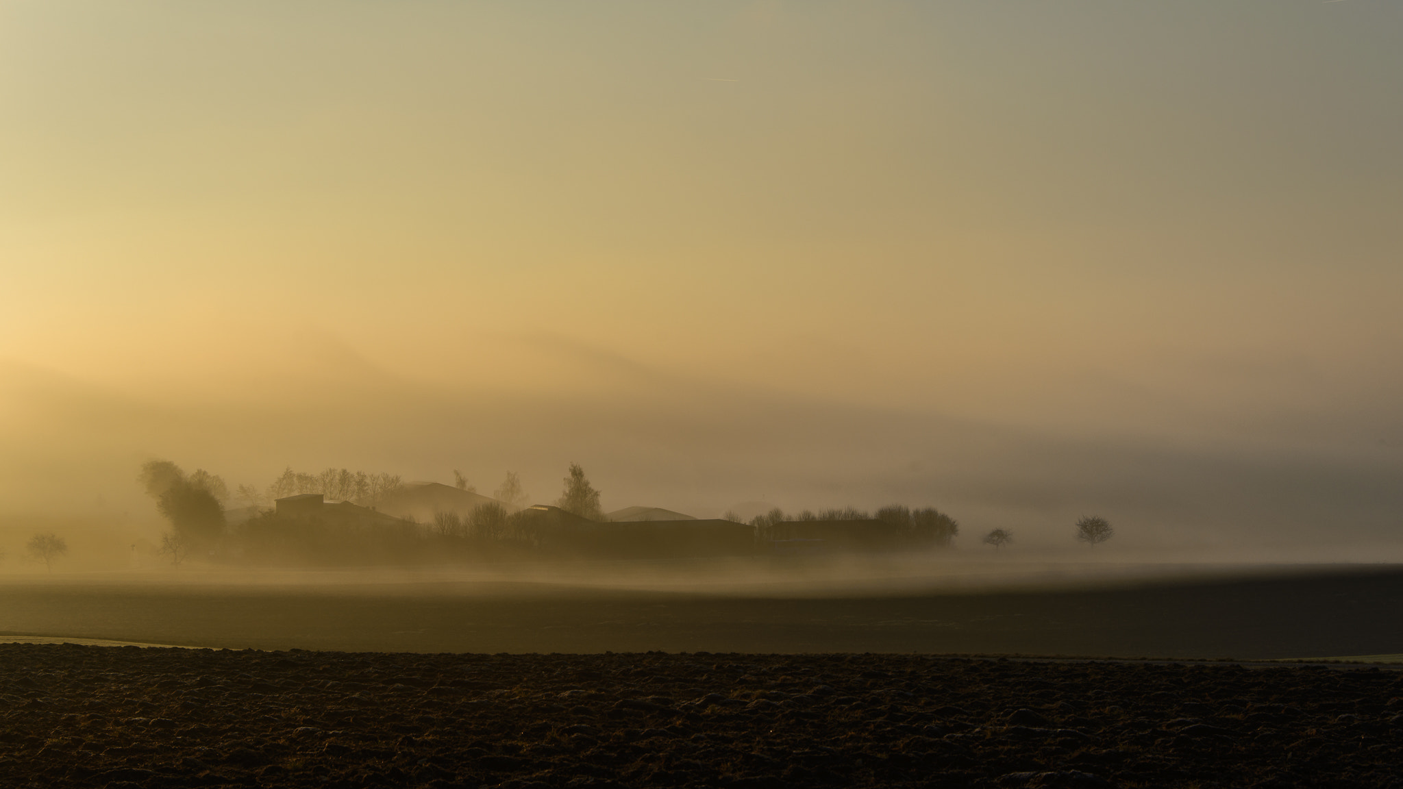 Nikon D600 sample photo. Morgennebel photography