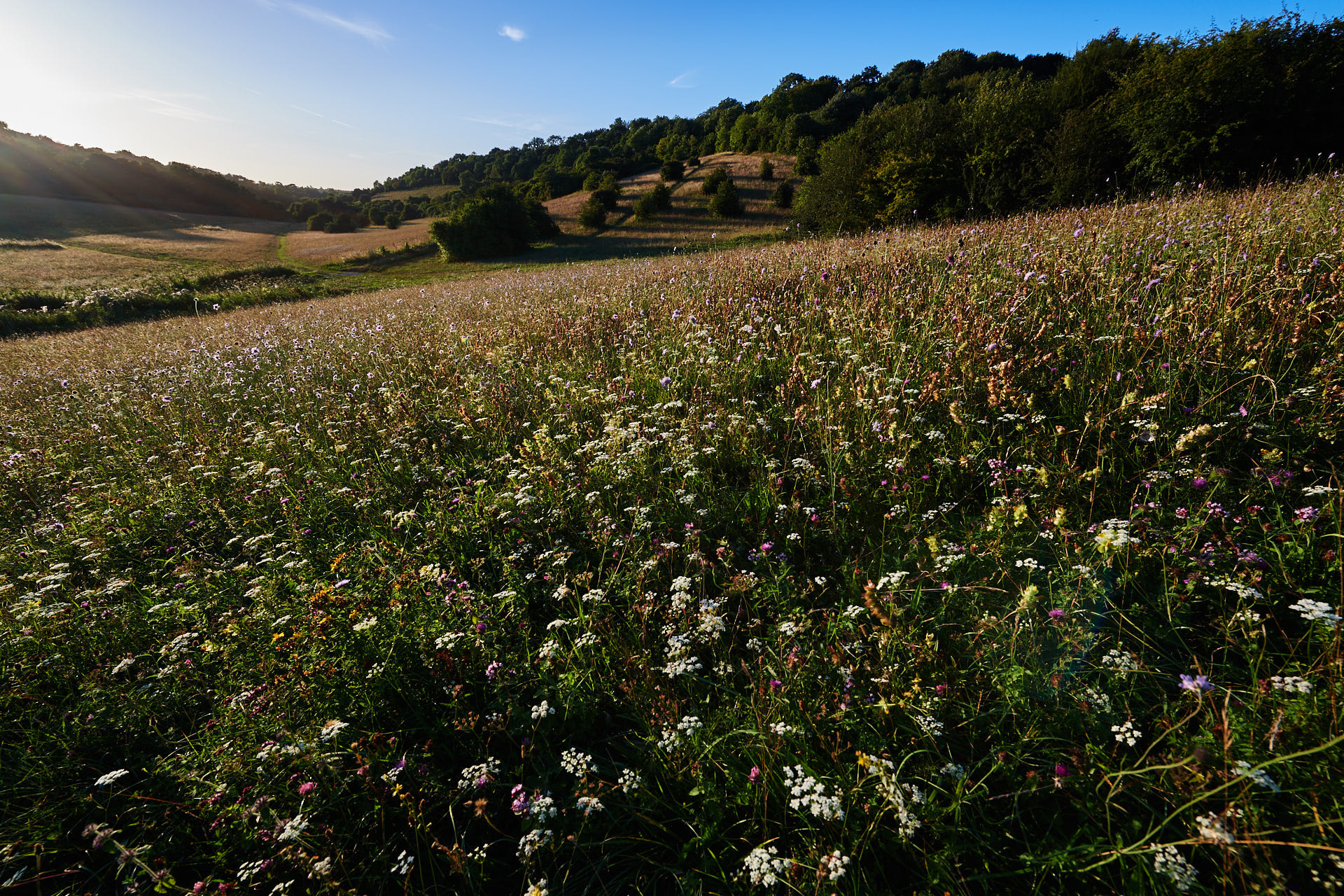 Nikon AF-S Nikkor 14-24mm F2.8G ED sample photo. Da photography