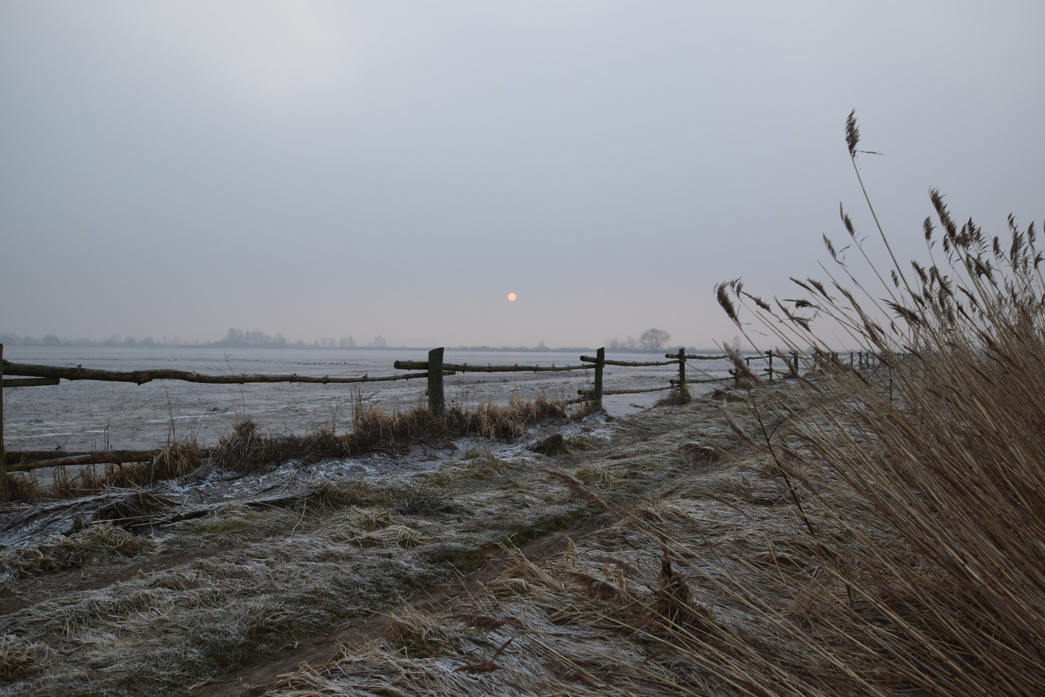 Nikon D5300 + Sigma 10-20mm F3.5 EX DC HSM sample photo. Frosty afternoon. photography