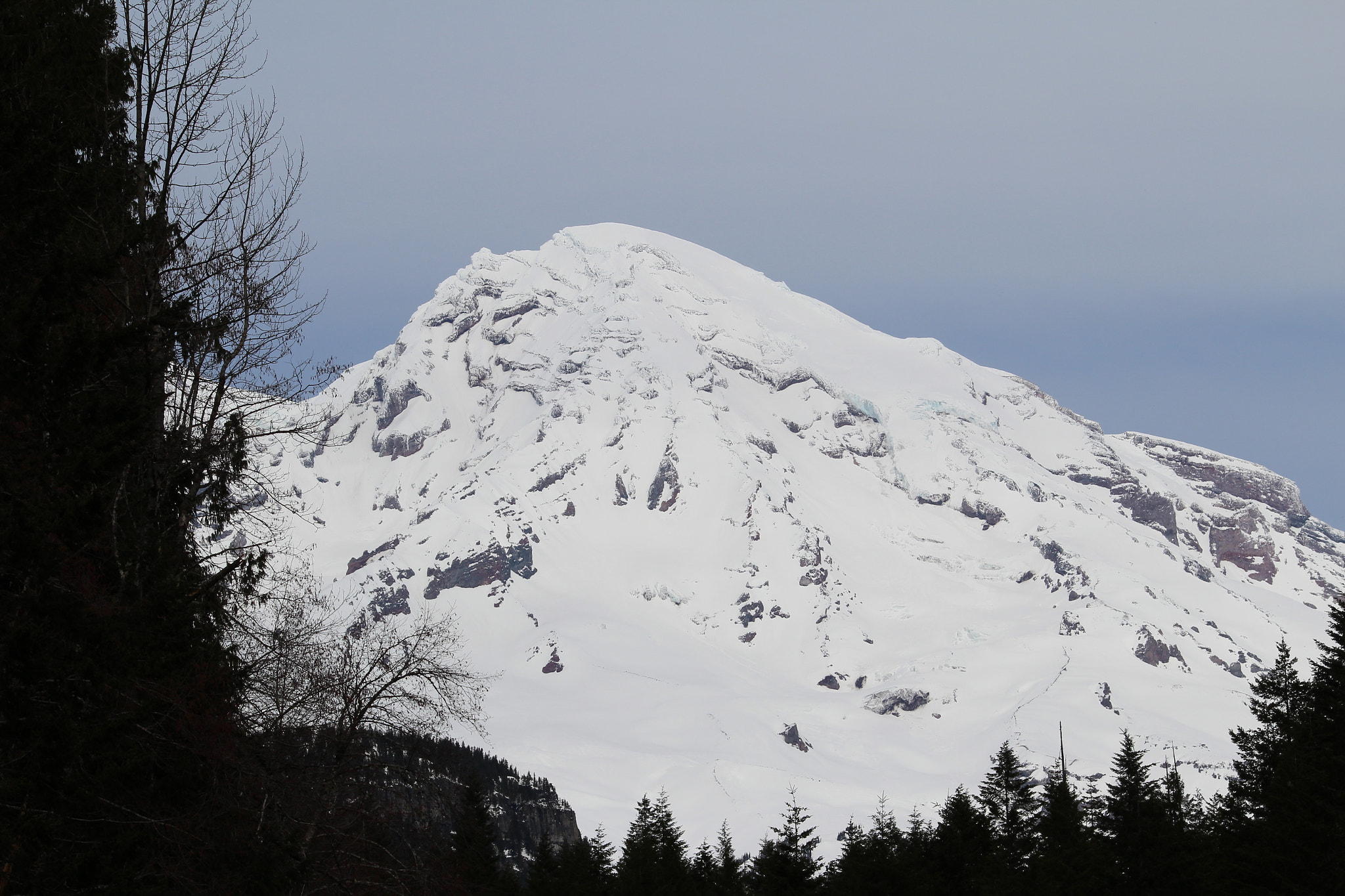 Canon EF-S 55-250mm F4-5.6 IS II sample photo. Img photography