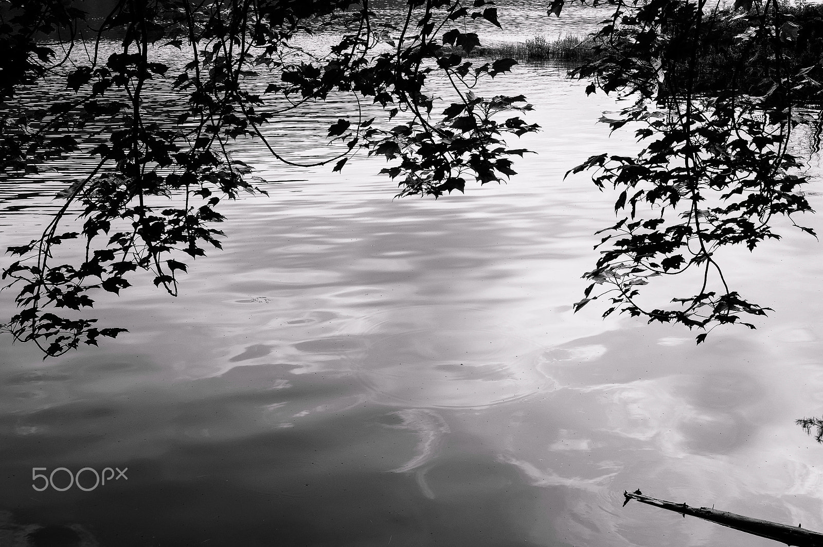 Nikon AF Nikkor 28mm F2.8D sample photo. Rock pond reflections photography