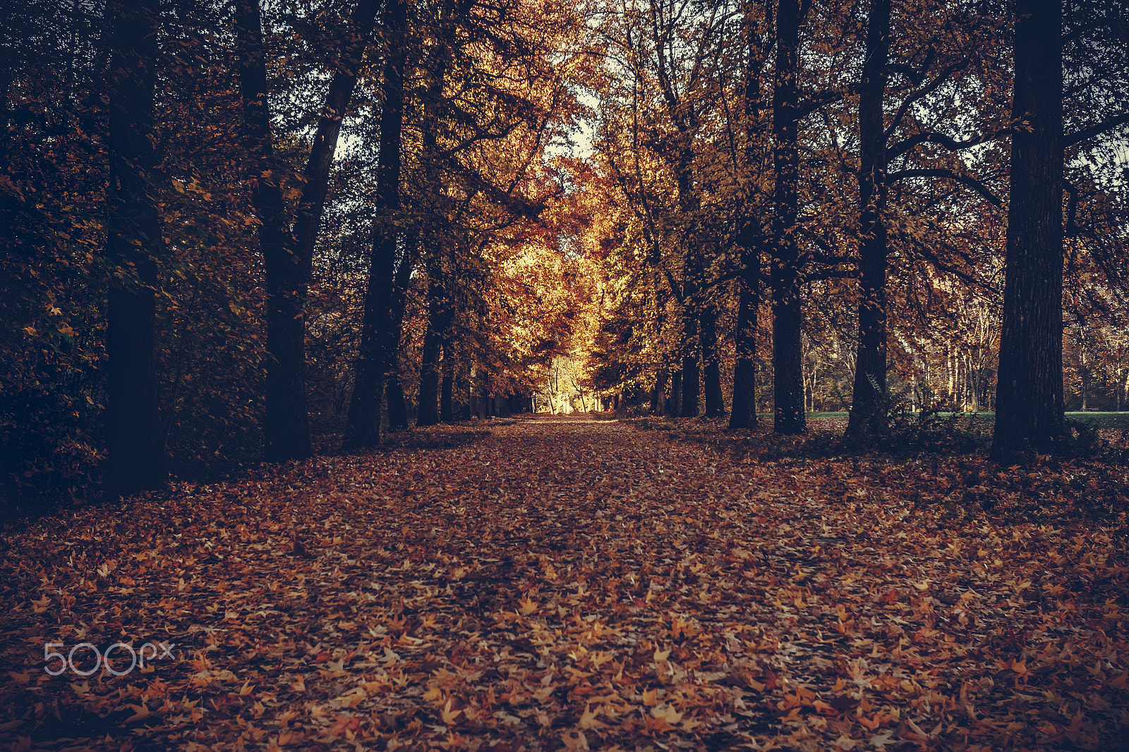 Canon EOS 7D + Canon EF 16-35mm F2.8L USM sample photo. Golden light photography