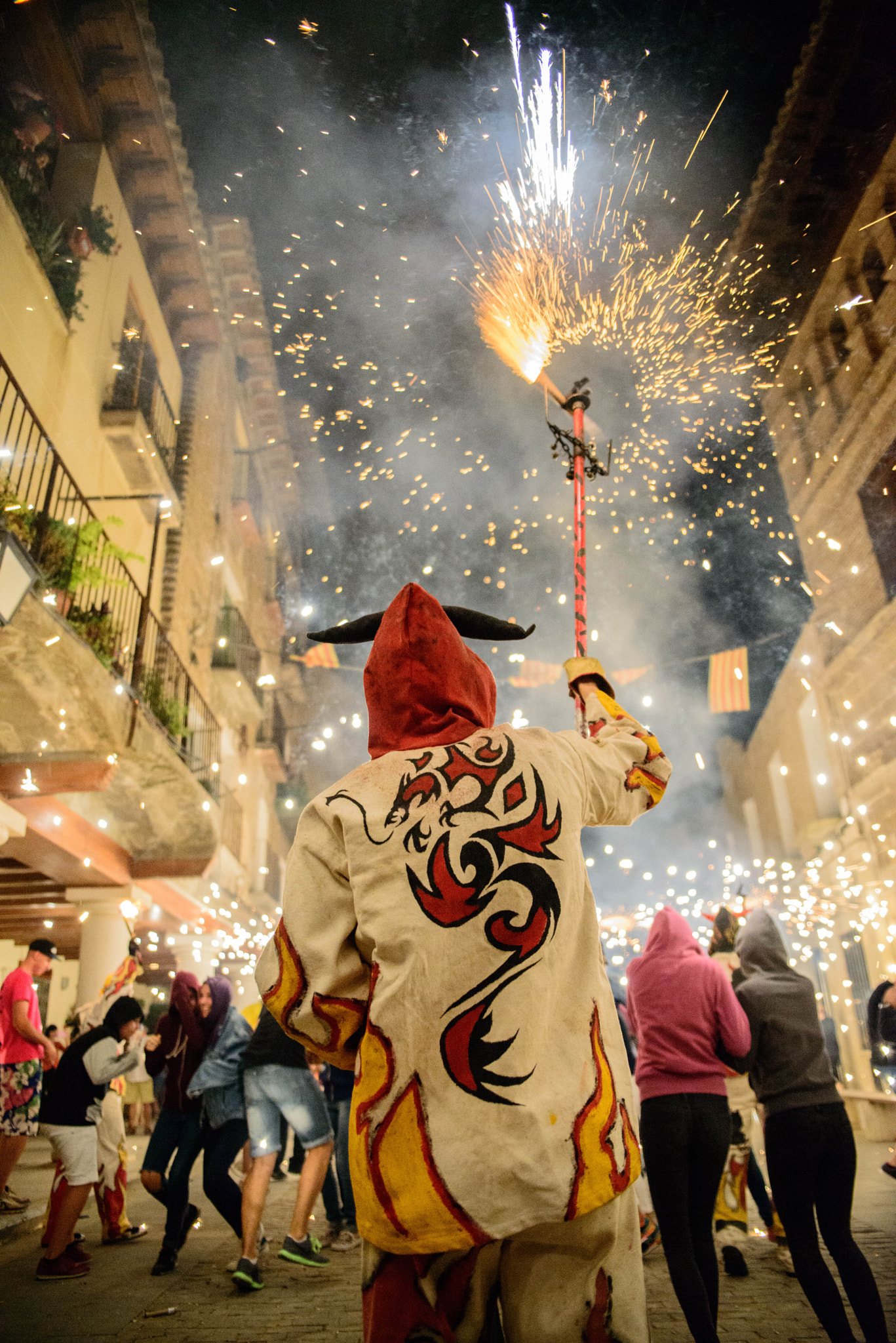 Sigma 24-70mm F2.8 EX DG HSM sample photo. Correfoc en fonz photography