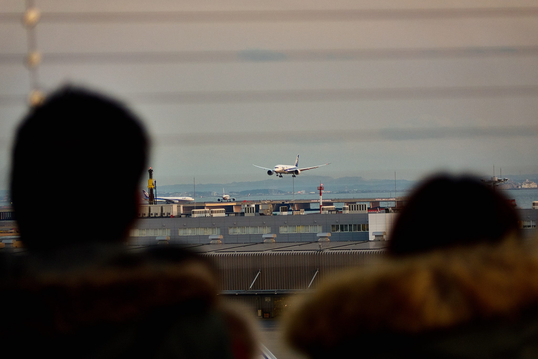 Sony Cyber-shot DSC-RX10 sample photo. Aircraft landing photography