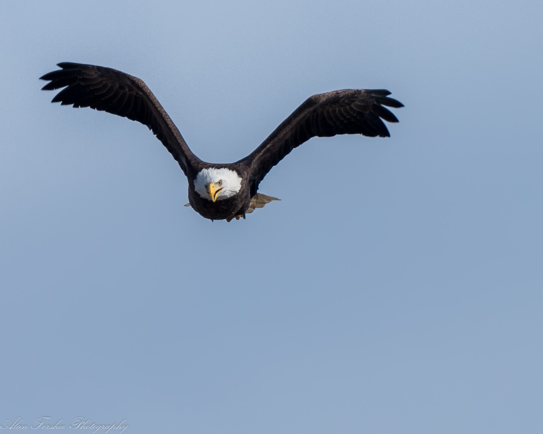 Nikon AF-S Nikkor 200-500mm F5.6E ED VR sample photo. Coming at you photography