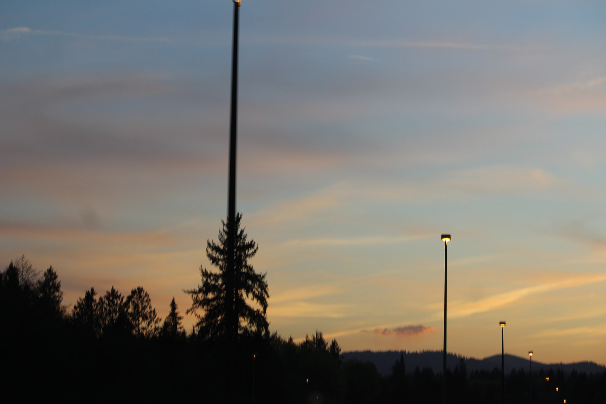 Canon EF-S 55-250mm F4-5.6 IS II sample photo. Img photography