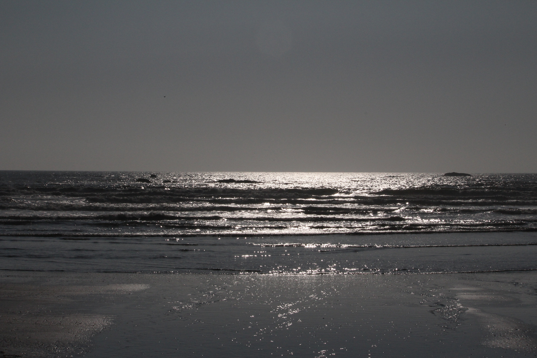 Canon EF-S 55-250mm F4-5.6 IS II sample photo. Img photography