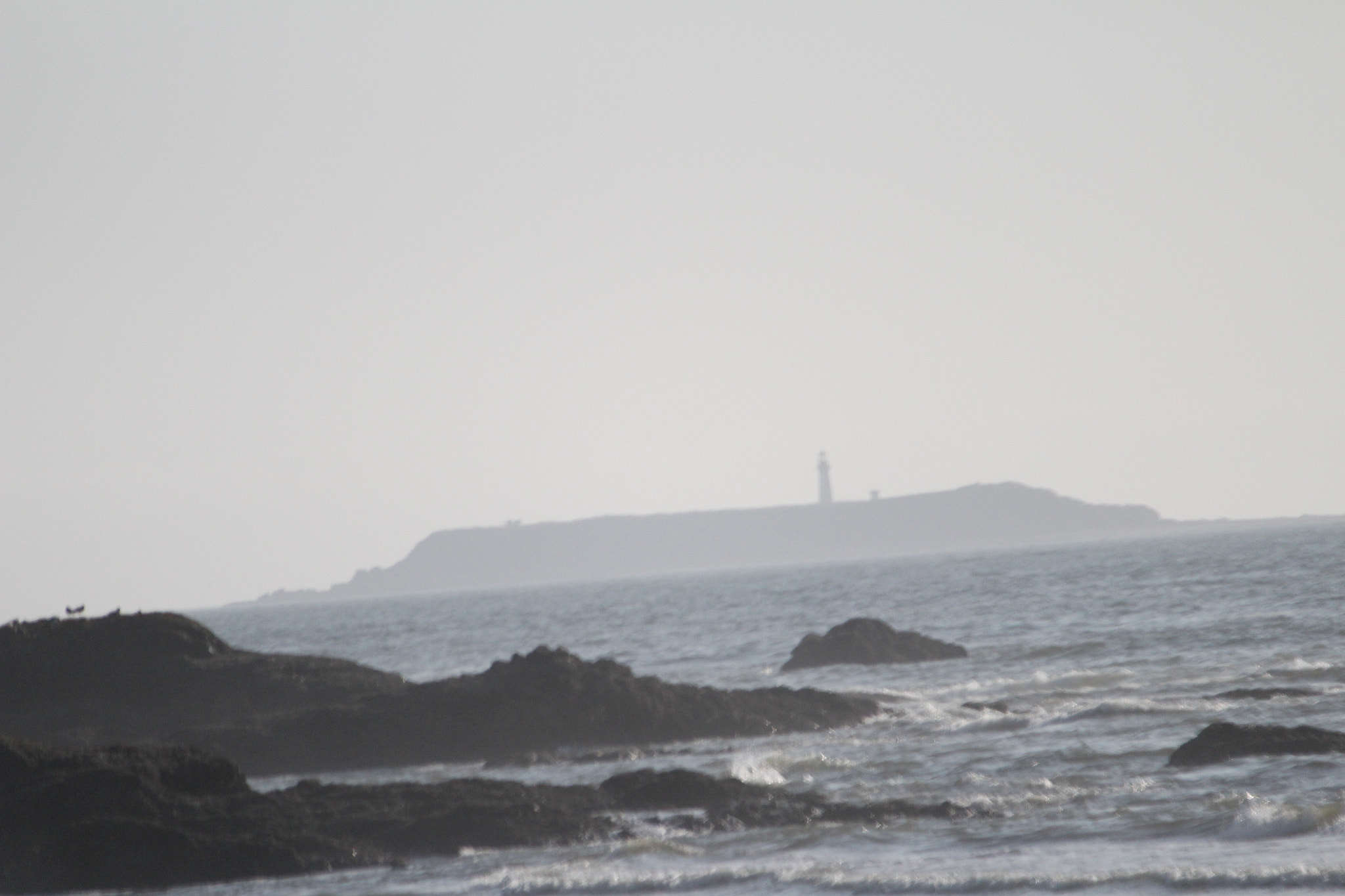 Canon EF-S 55-250mm F4-5.6 IS II sample photo. Img photography