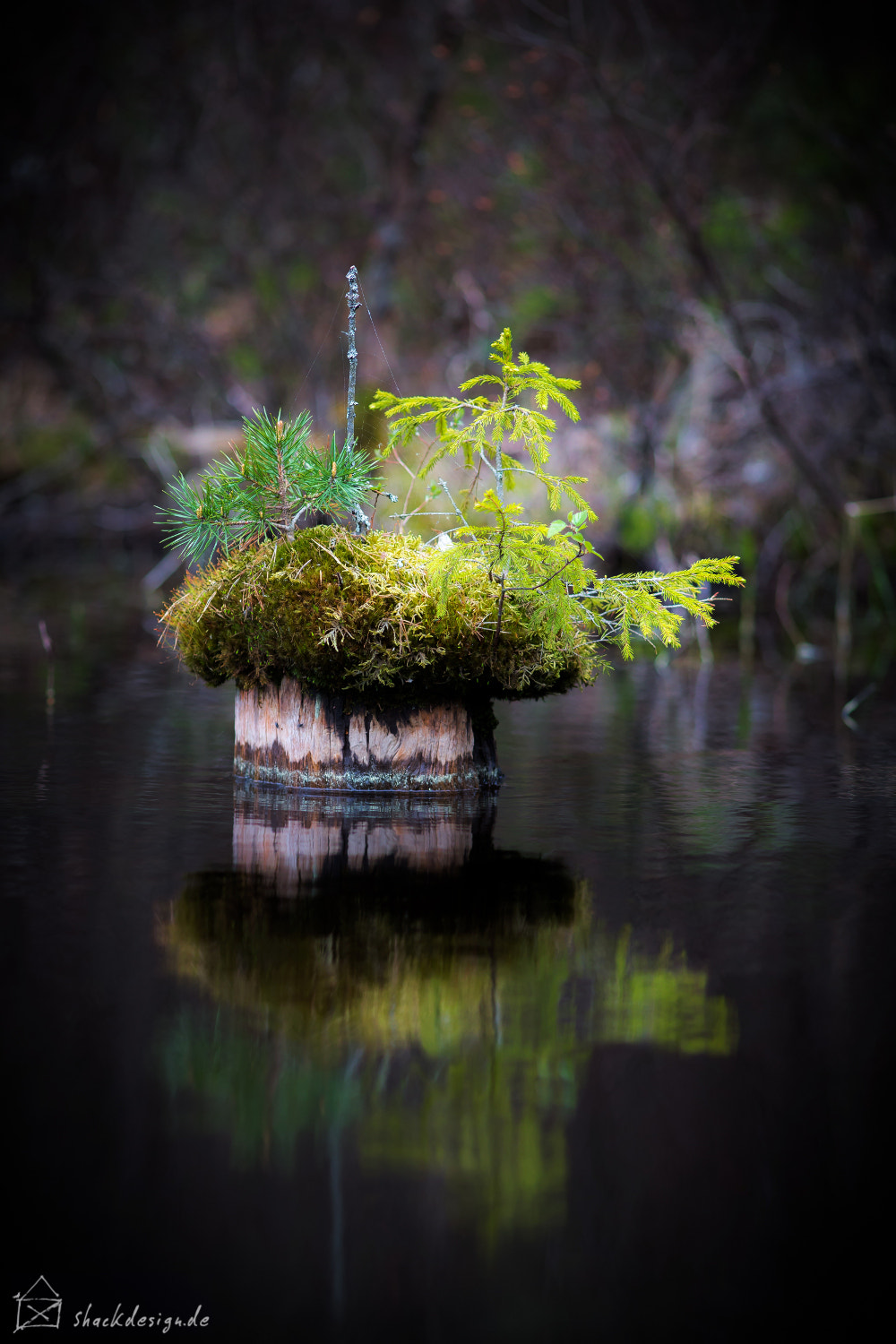 Canon EF 200mm F2.8L II USM sample photo. Peter pan's island photography