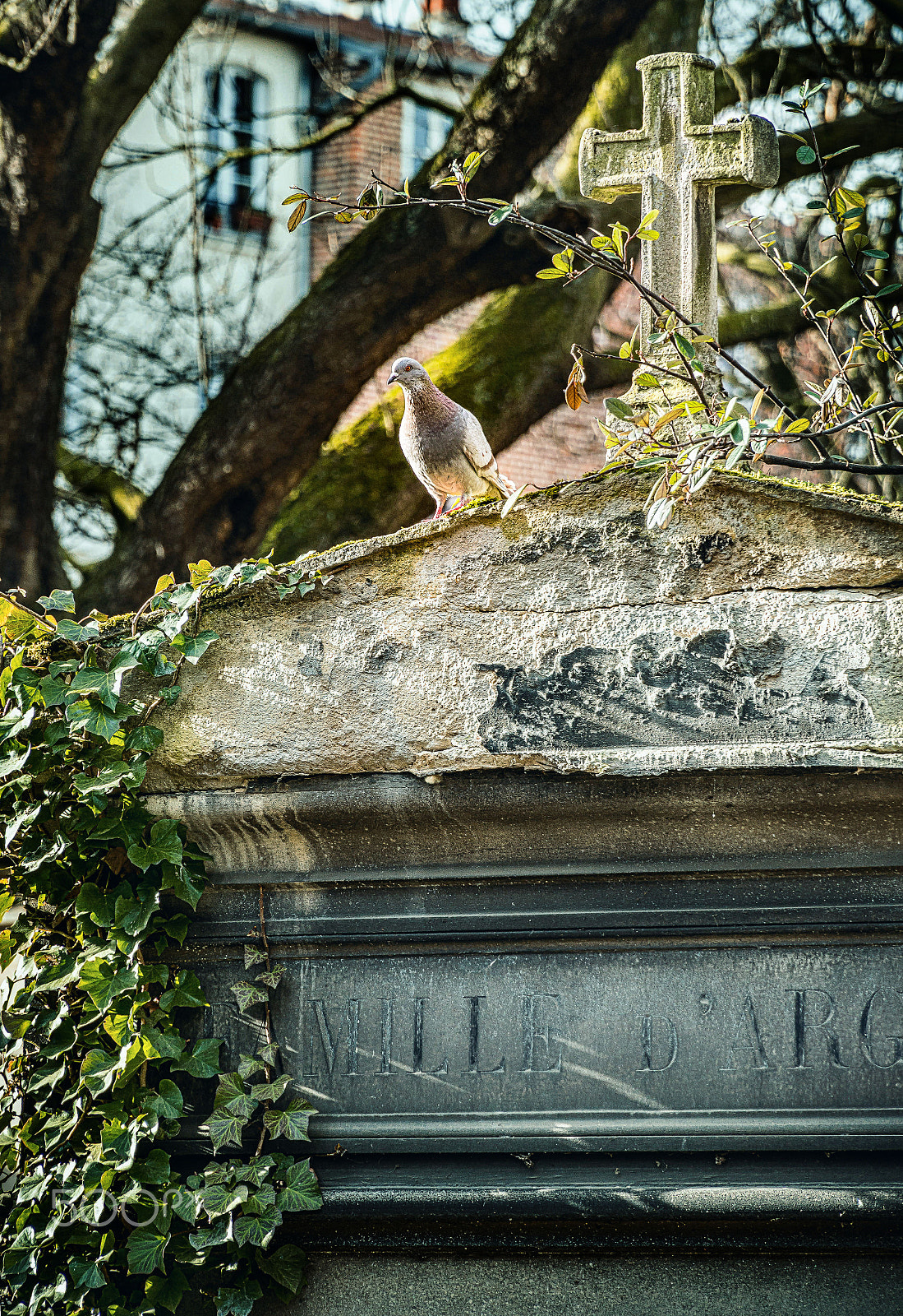 Sony E PZ 18-105mm F4 G OSS sample photo. Père lachaise i photography