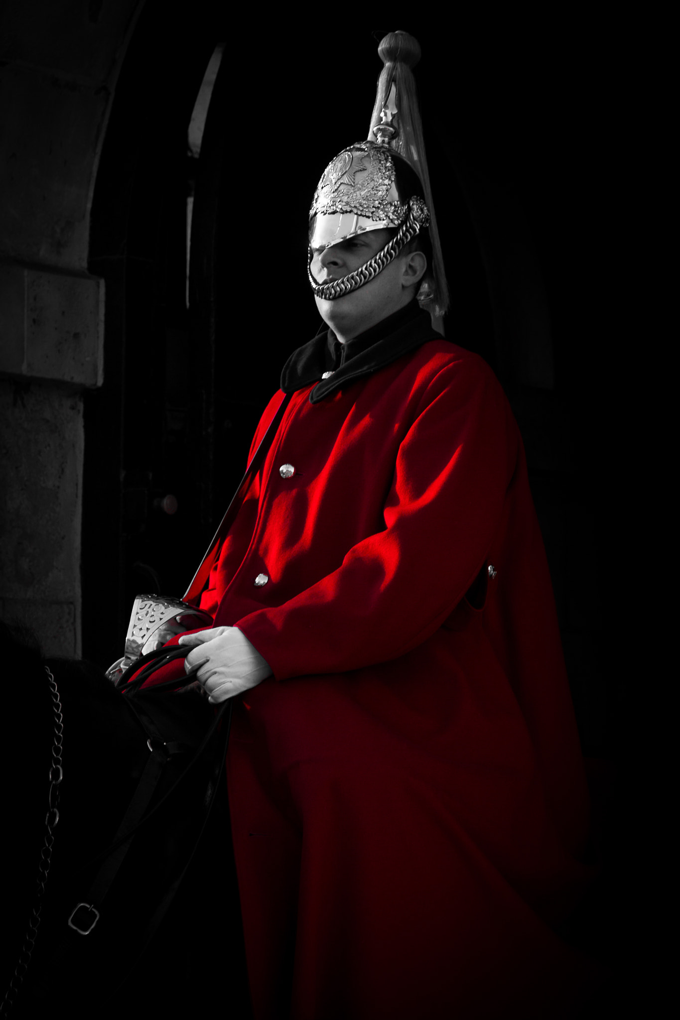 Canon EOS 60D sample photo. The queens horse guards photography