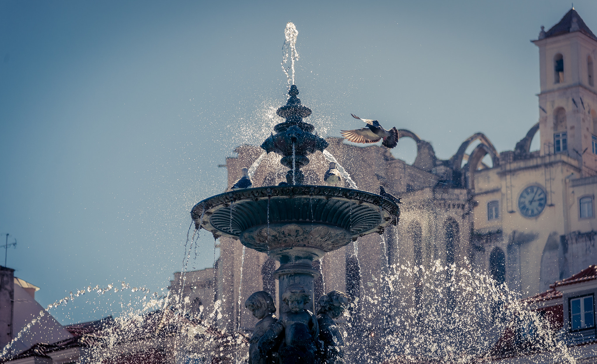 Nikon AF-S Nikkor 24-120mm F4G ED VR sample photo. Hugging the water photography