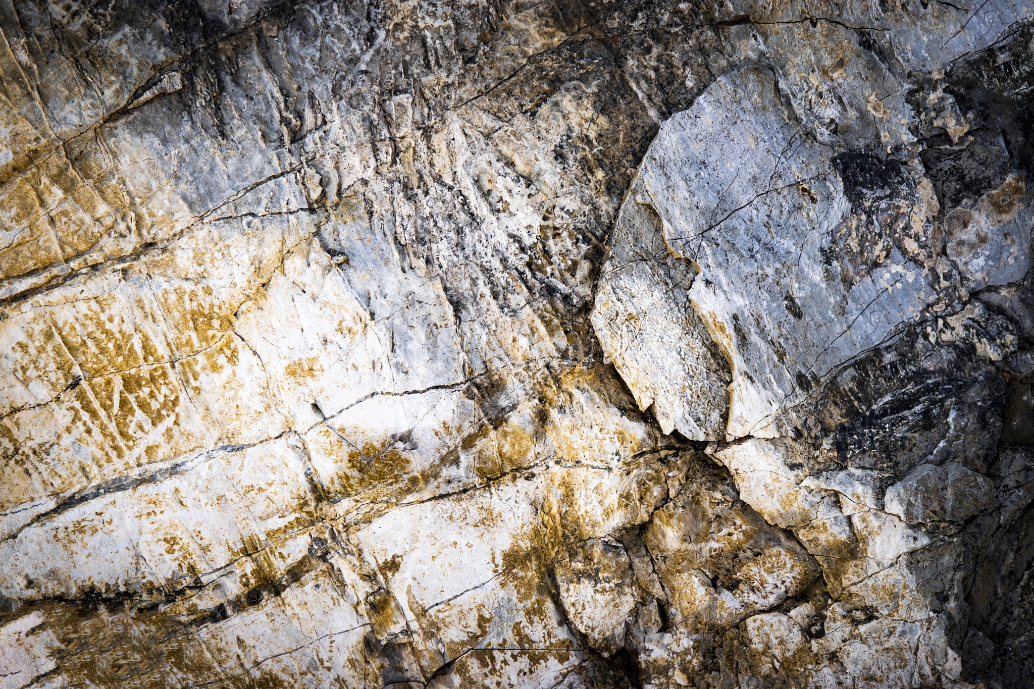 Nikon D5500 sample photo. Abstract pattern on limestone rock photography