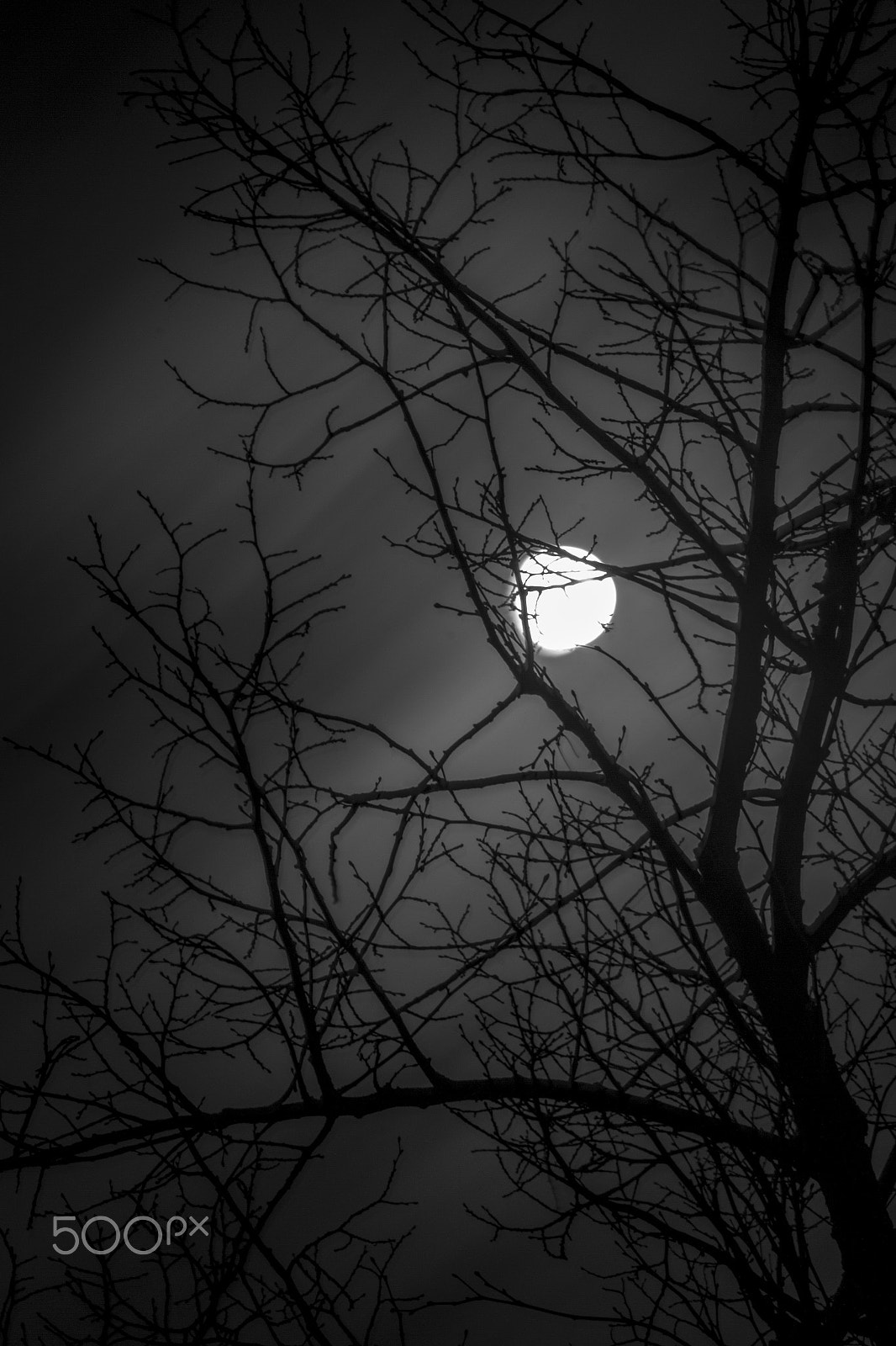 Canon EF-S 55-250mm F4-5.6 IS STM sample photo. Moon photography