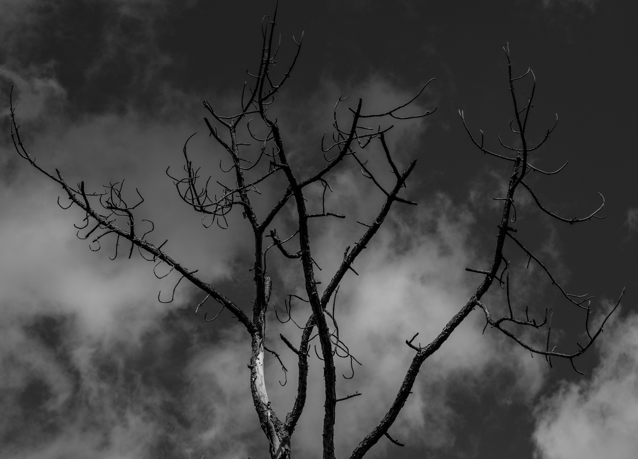Nikon D500 sample photo