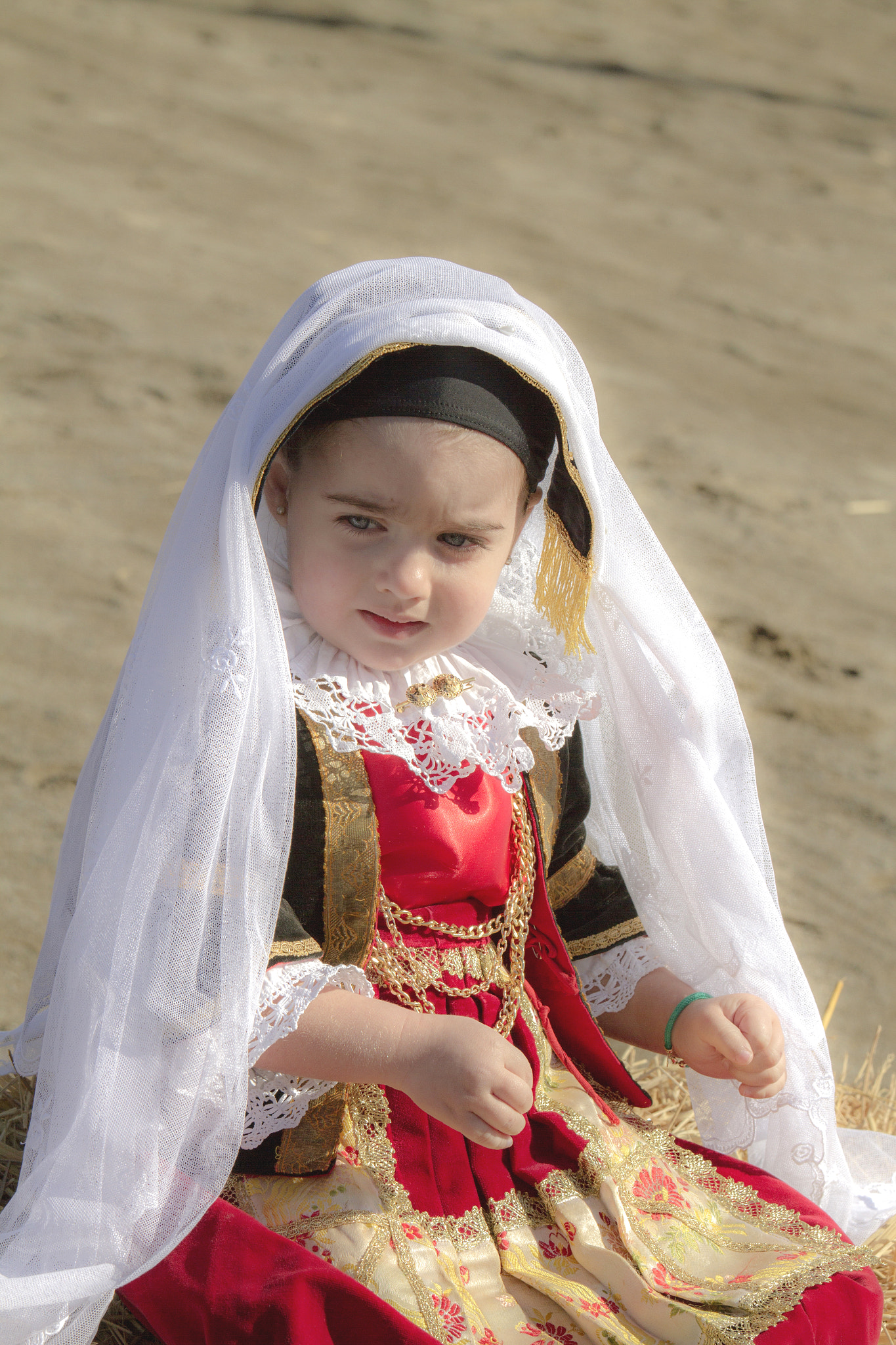 Canon EOS 7D + Canon EF 70-200mm F4L IS USM sample photo