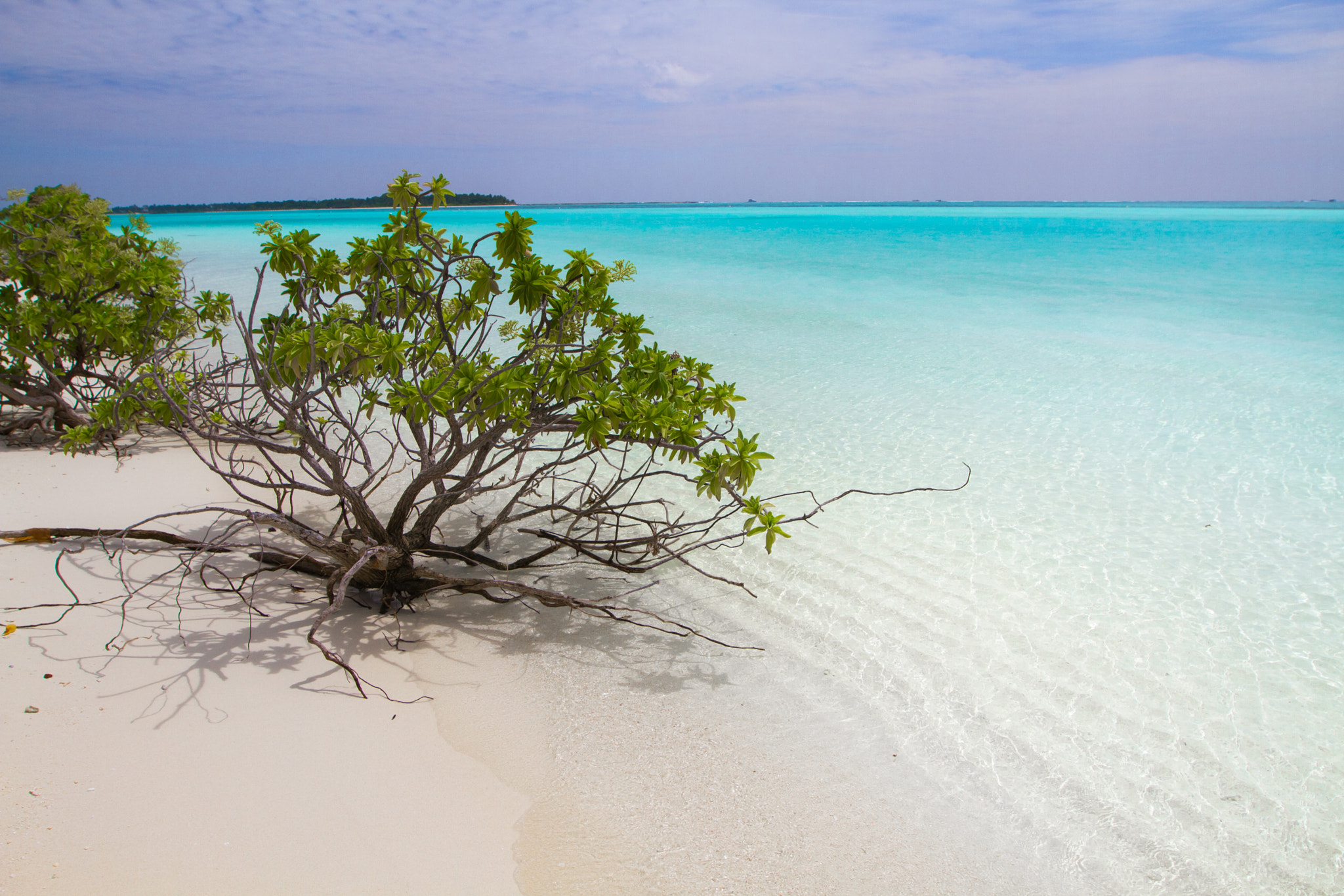 Canon EF 16-35mm F2.8L II USM sample photo. Maldives photography