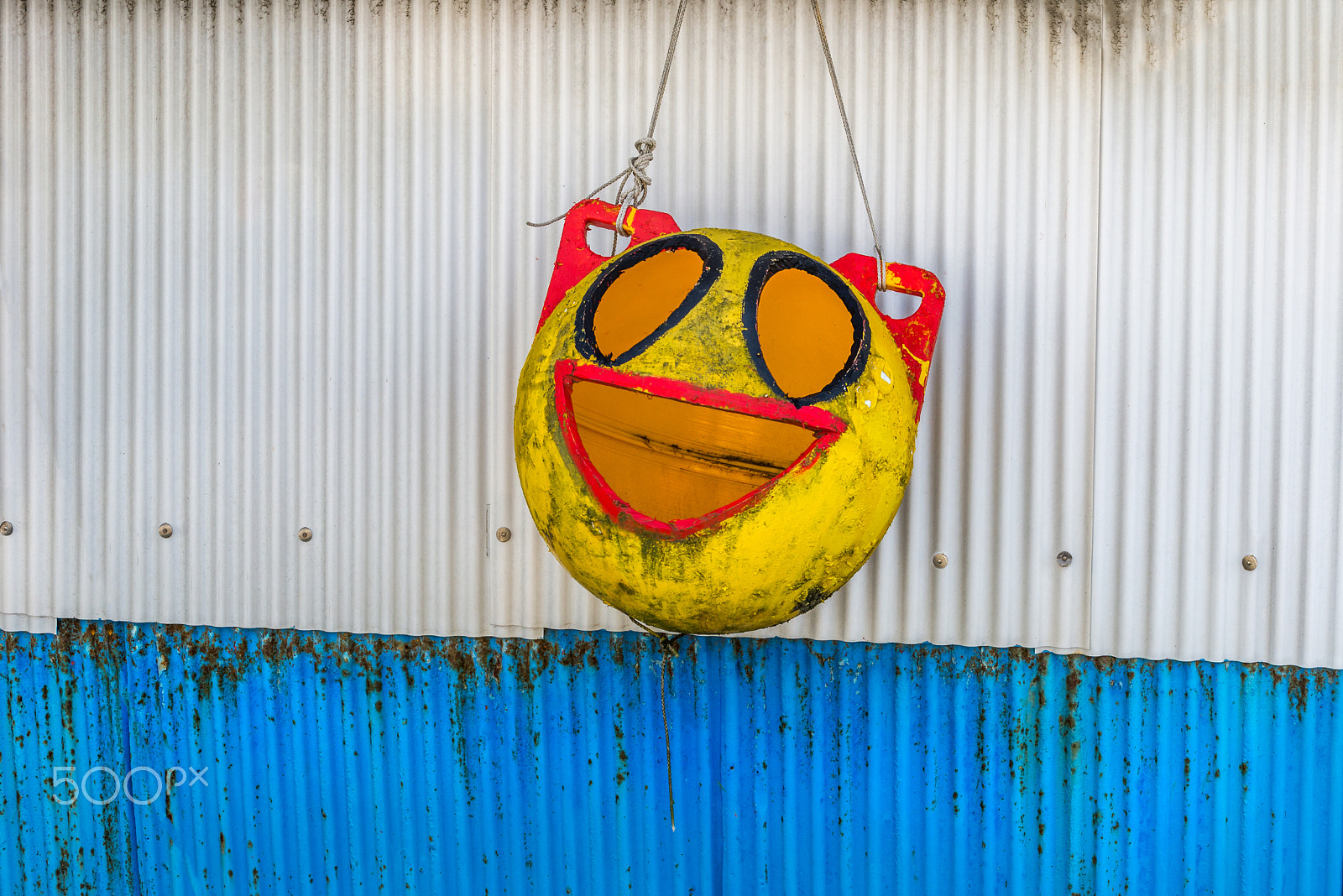Nikon D600 sample photo. Smile photography