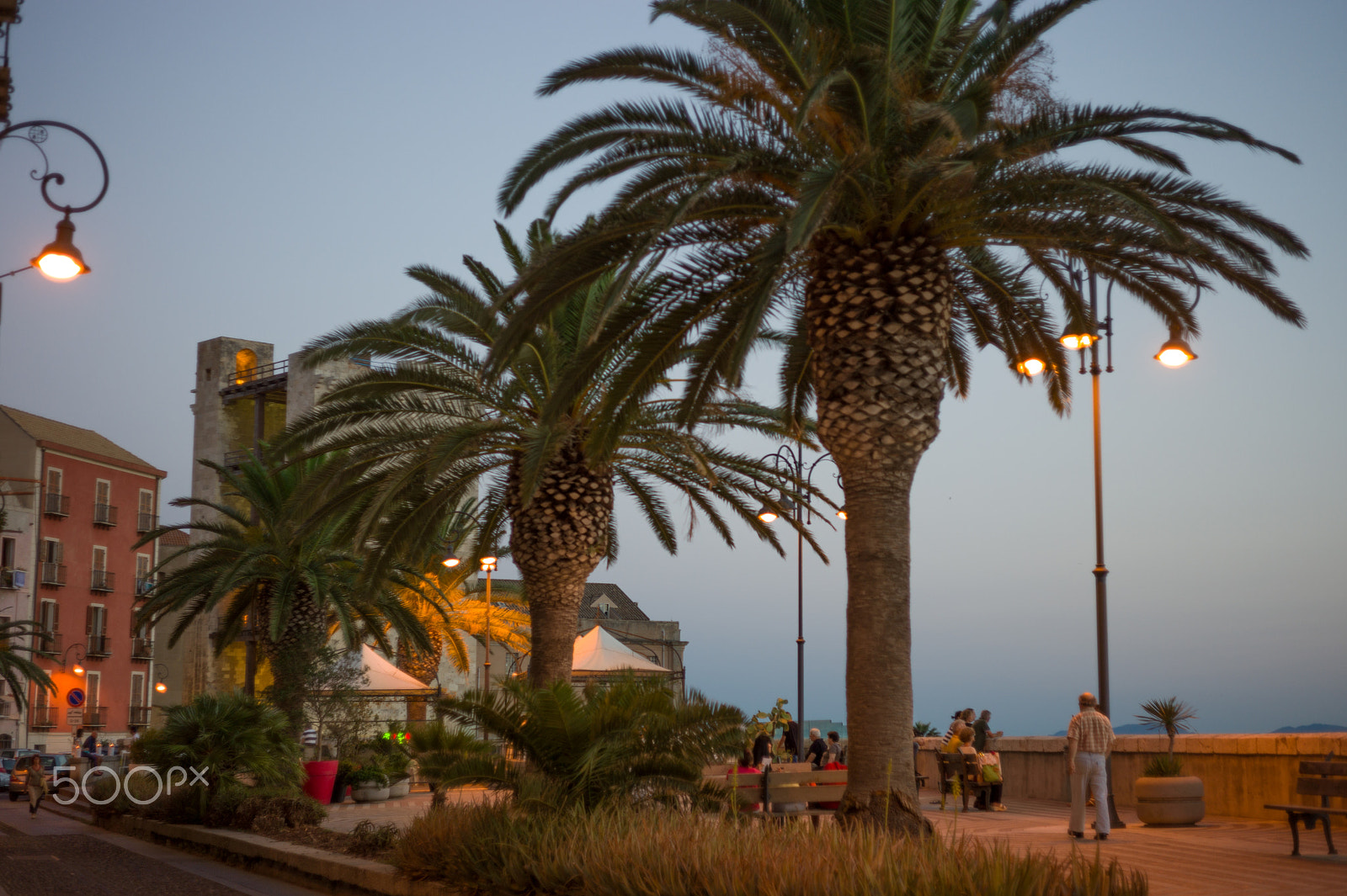 Leica M9 + Summicron-M 50mm f/2 (IV, V) sample photo. Evening walk photography