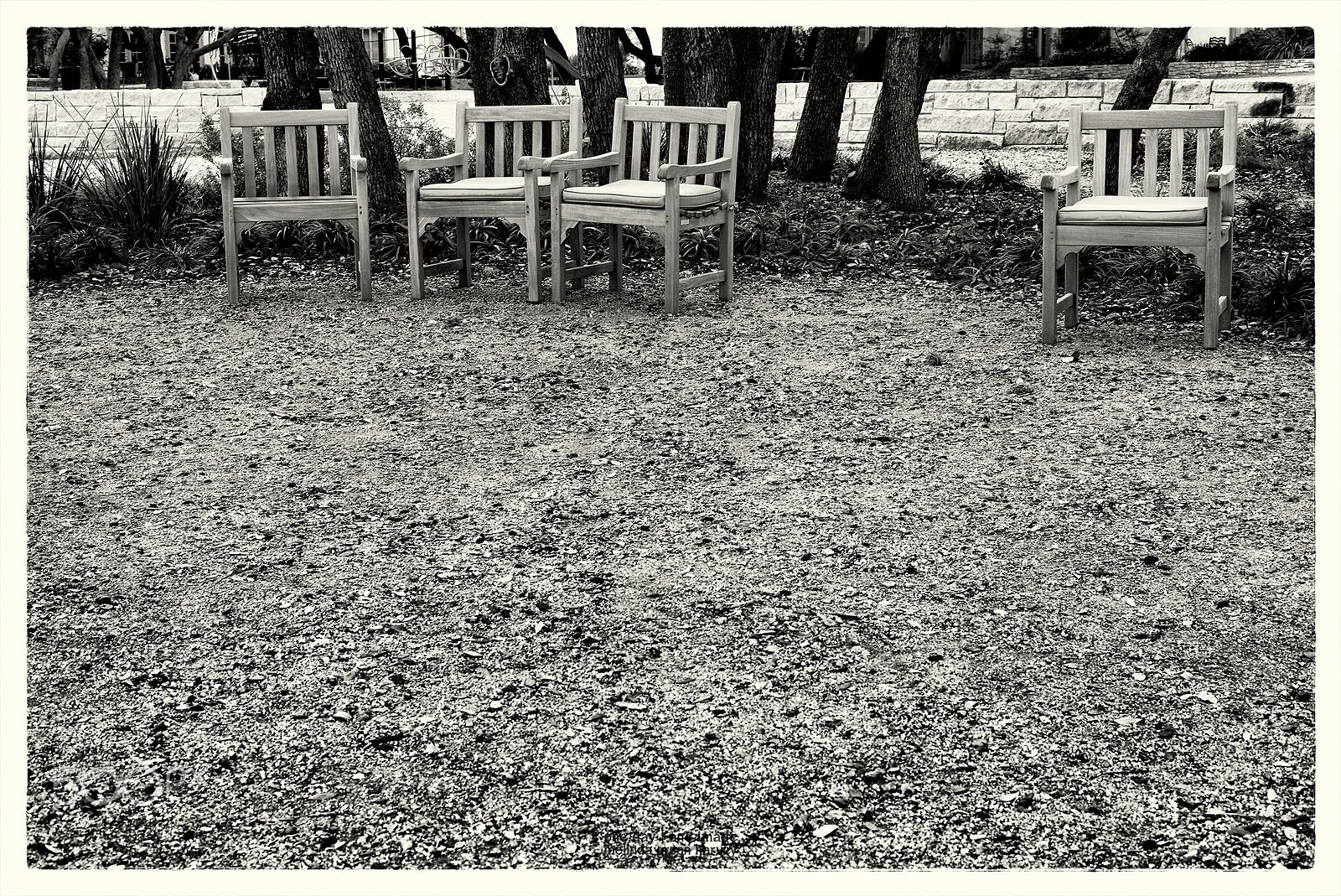 Leica Summarit-M 50mm F2.4 sample photo. Three, and then one more photography