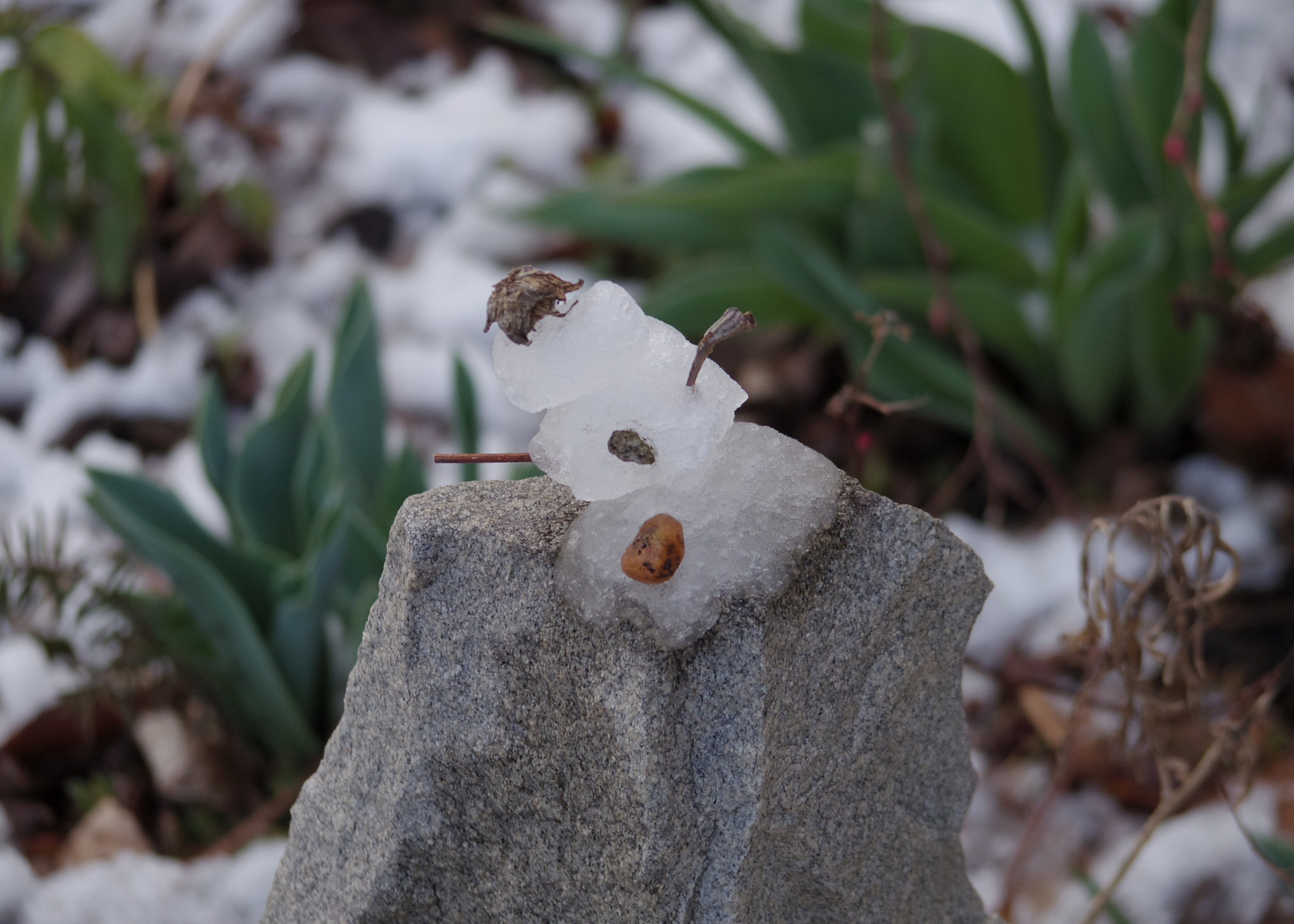Pentax Q-S1 sample photo. Spring snowman photography