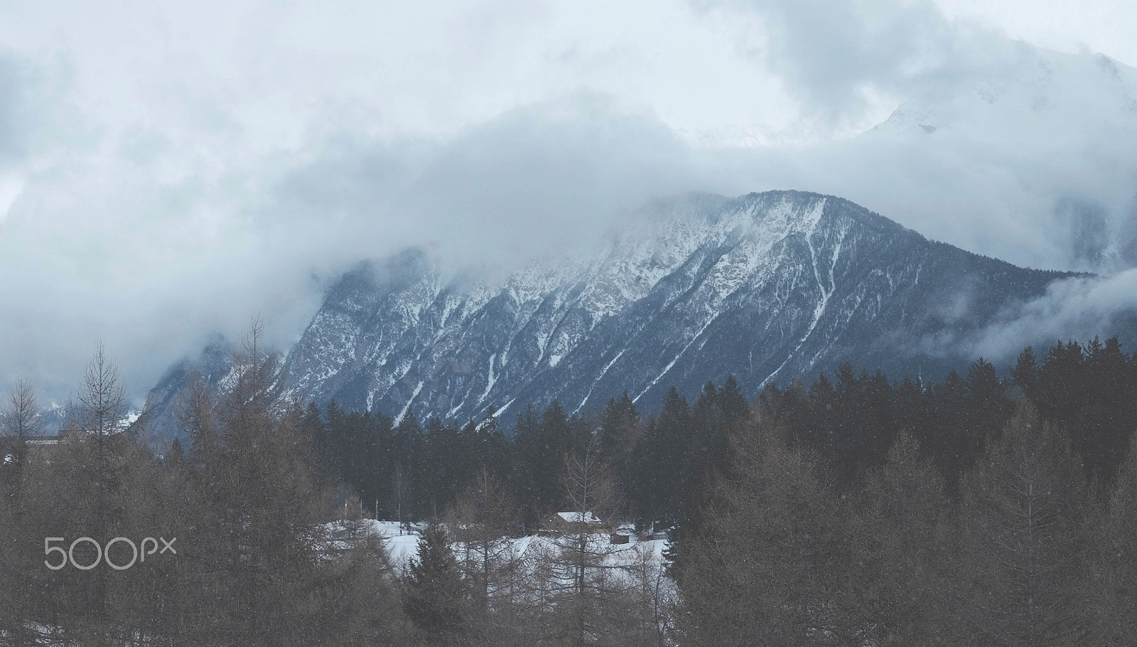 Fujifilm X-T10 + Fujifilm XF 60mm F2.4 R Macro sample photo. Wilderness photography