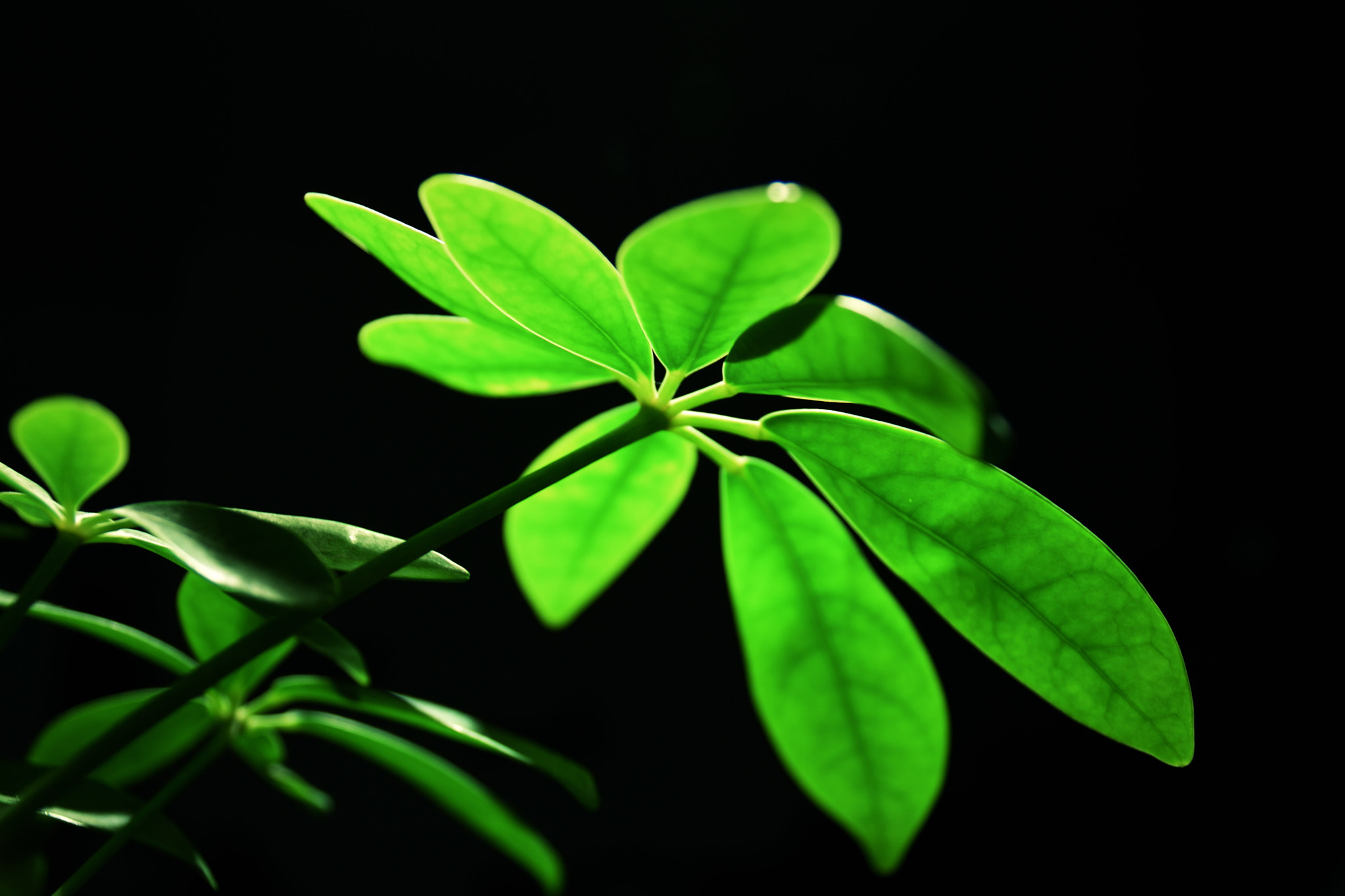 Sigma 17-70mm F2.8-4 DC Macro OS HSM | C sample photo