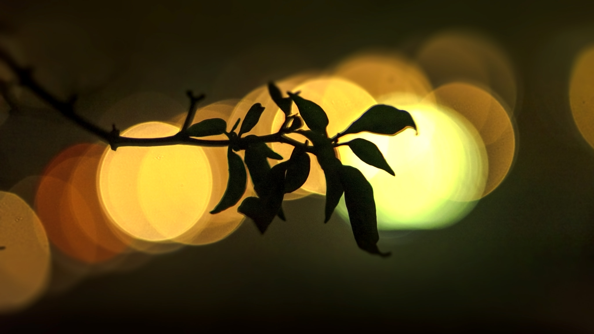 Sony a6300 + E 50mm F1.8 OSS sample photo. Nightlife photography