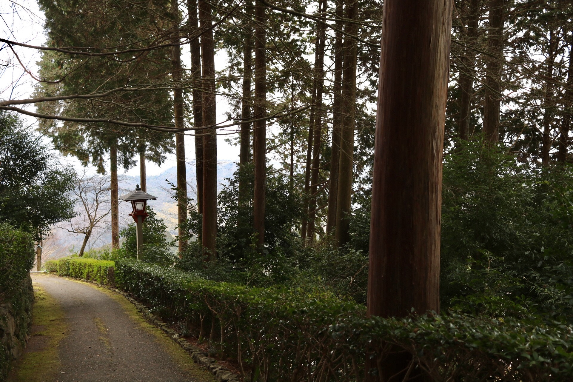 Canon EF-S 24mm F2.8 STM sample photo