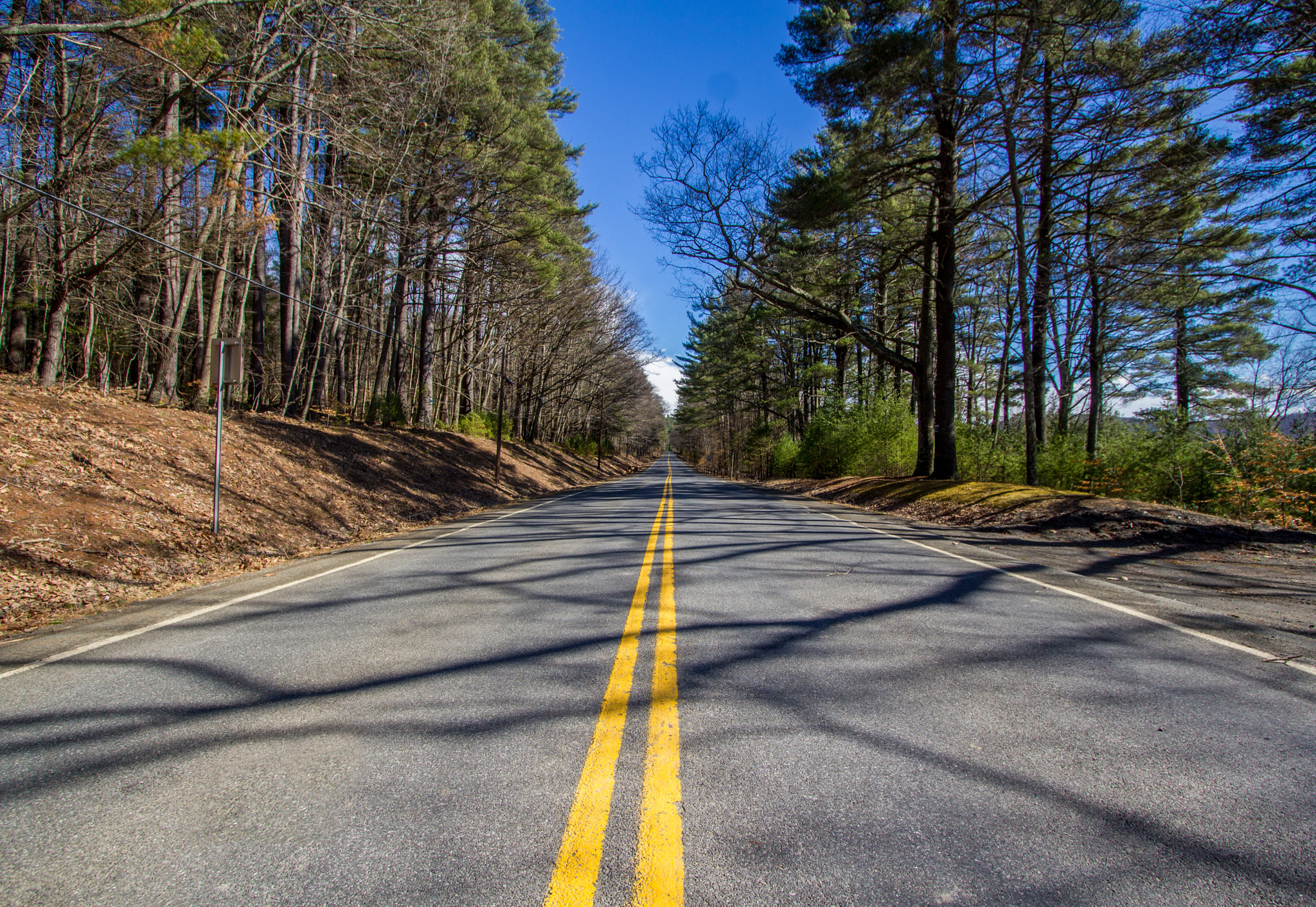 Canon EF-S 10-22mm F3.5-4.5 USM sample photo. Vanishing down a two lane road photography