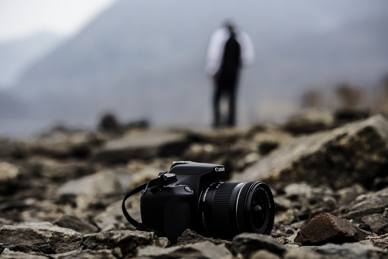 ZEISS Batis 85mm F1.8 sample photo