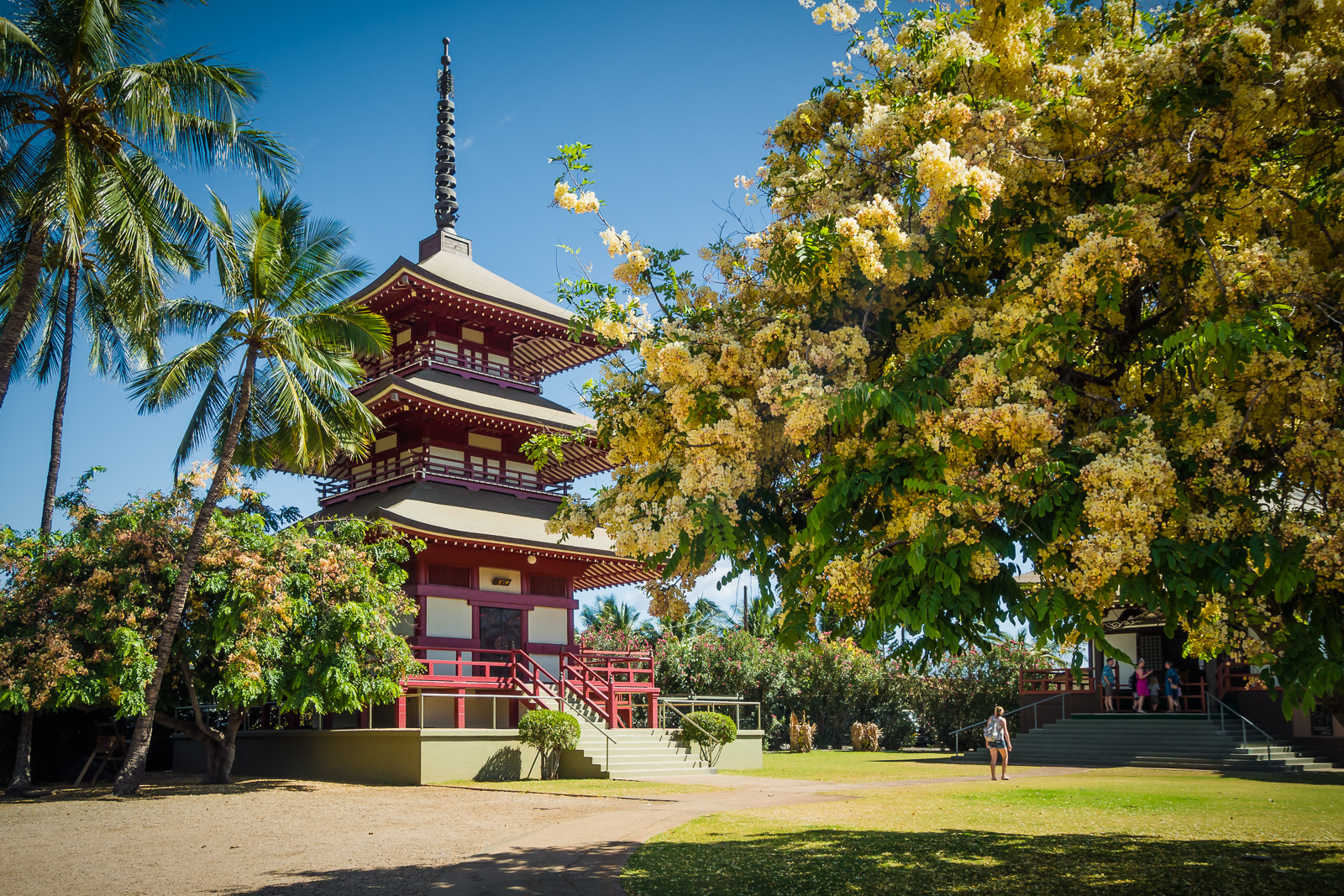 Olympus OM-D E-M5 + OLYMPUS M.9-18mm F4.0-5.6 sample photo. Buddhism in maui photography