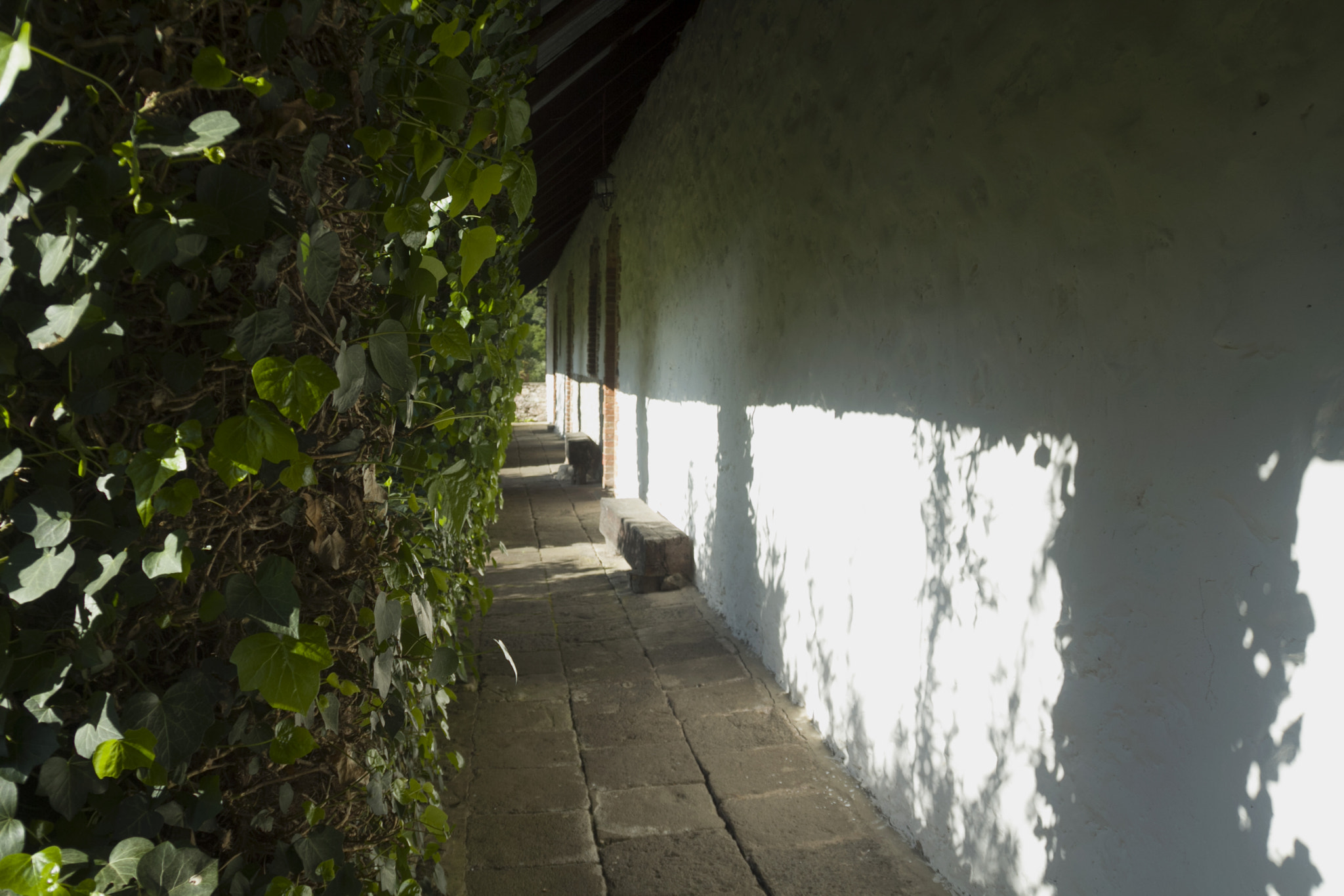 Canon EOS 60D sample photo. Pasillo chico photography