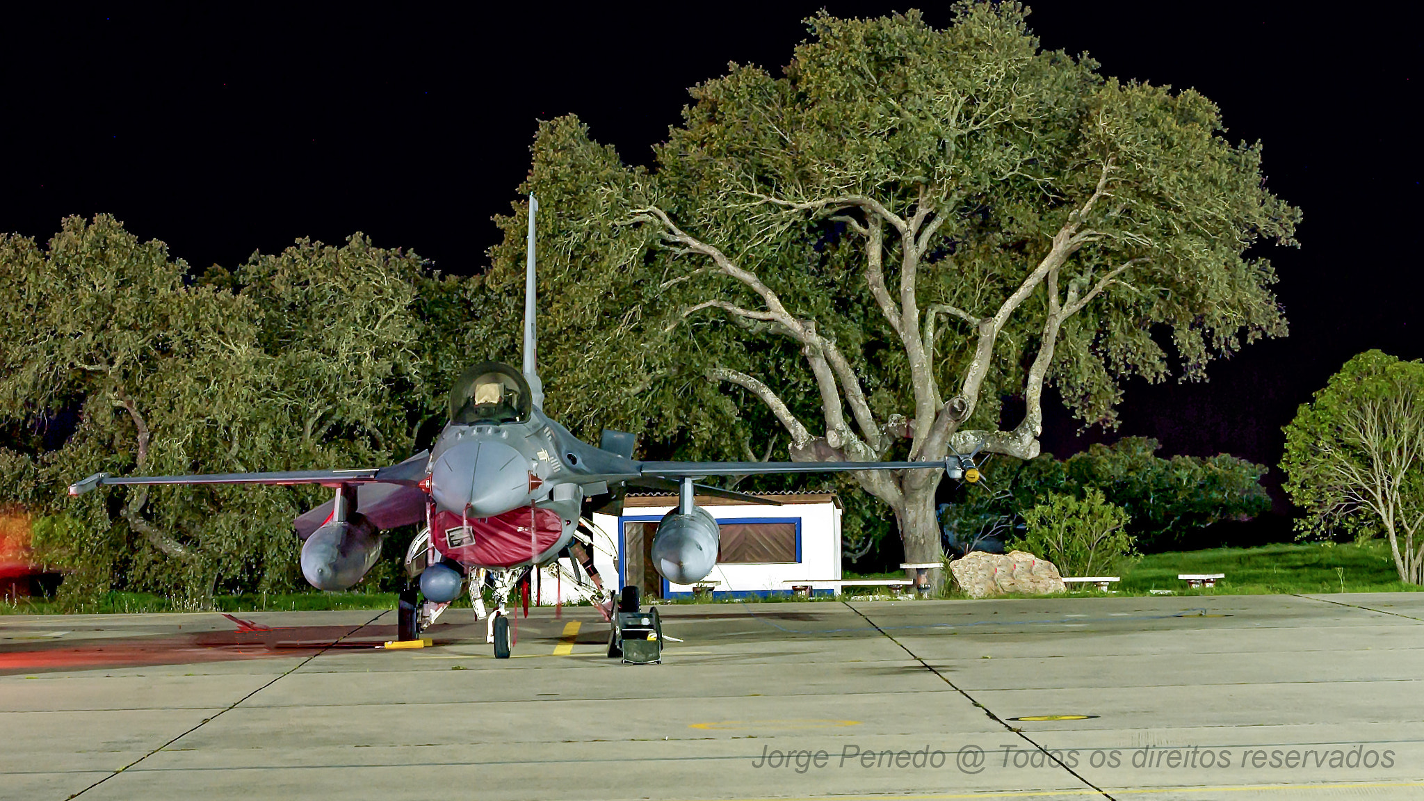 Sony Alpha DSLR-A390 + Sony DT 50mm F1.8 SAM sample photo. Lockheed martin f-16 am fighting falcon photography