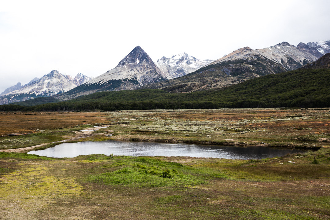 Canon EOS 5DS R sample photo. Aa photography