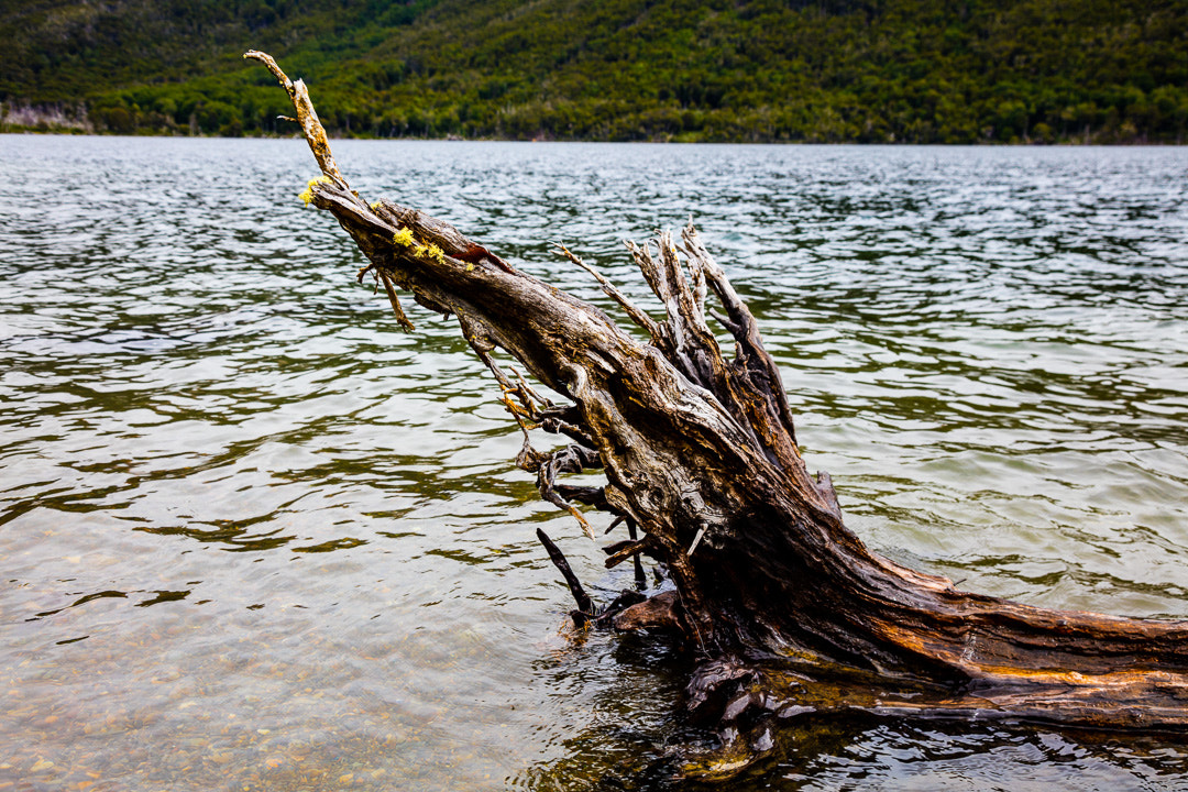 Canon EOS 5DS R sample photo. Aa photography