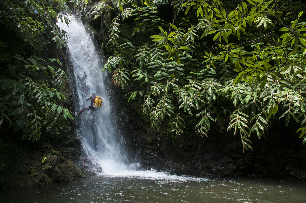 Nikon D300 sample photo. Ilha das flores photography