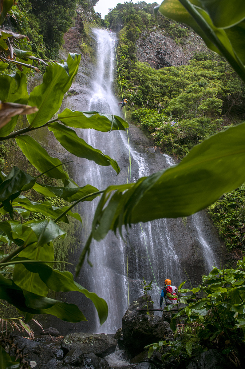 Nikon D300 sample photo. Ilha das flores photography