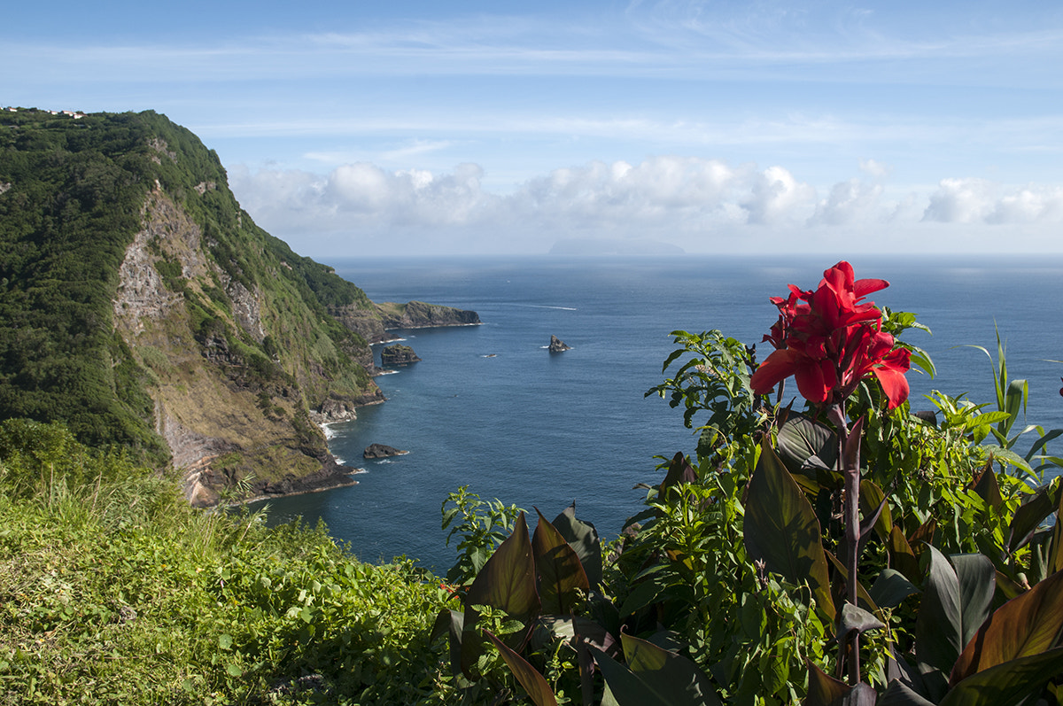 Nikon D300 sample photo. Ilha das flores photography