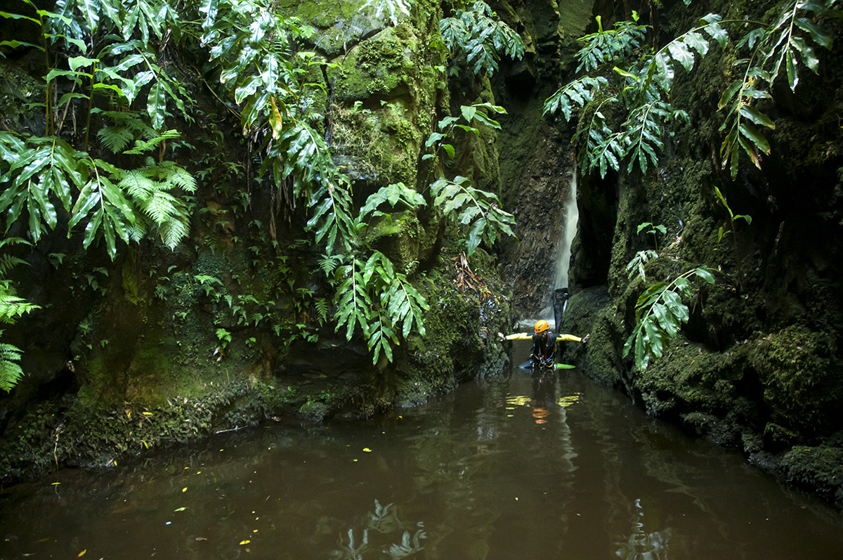 Nikon D300 sample photo. Ilha das flores photography