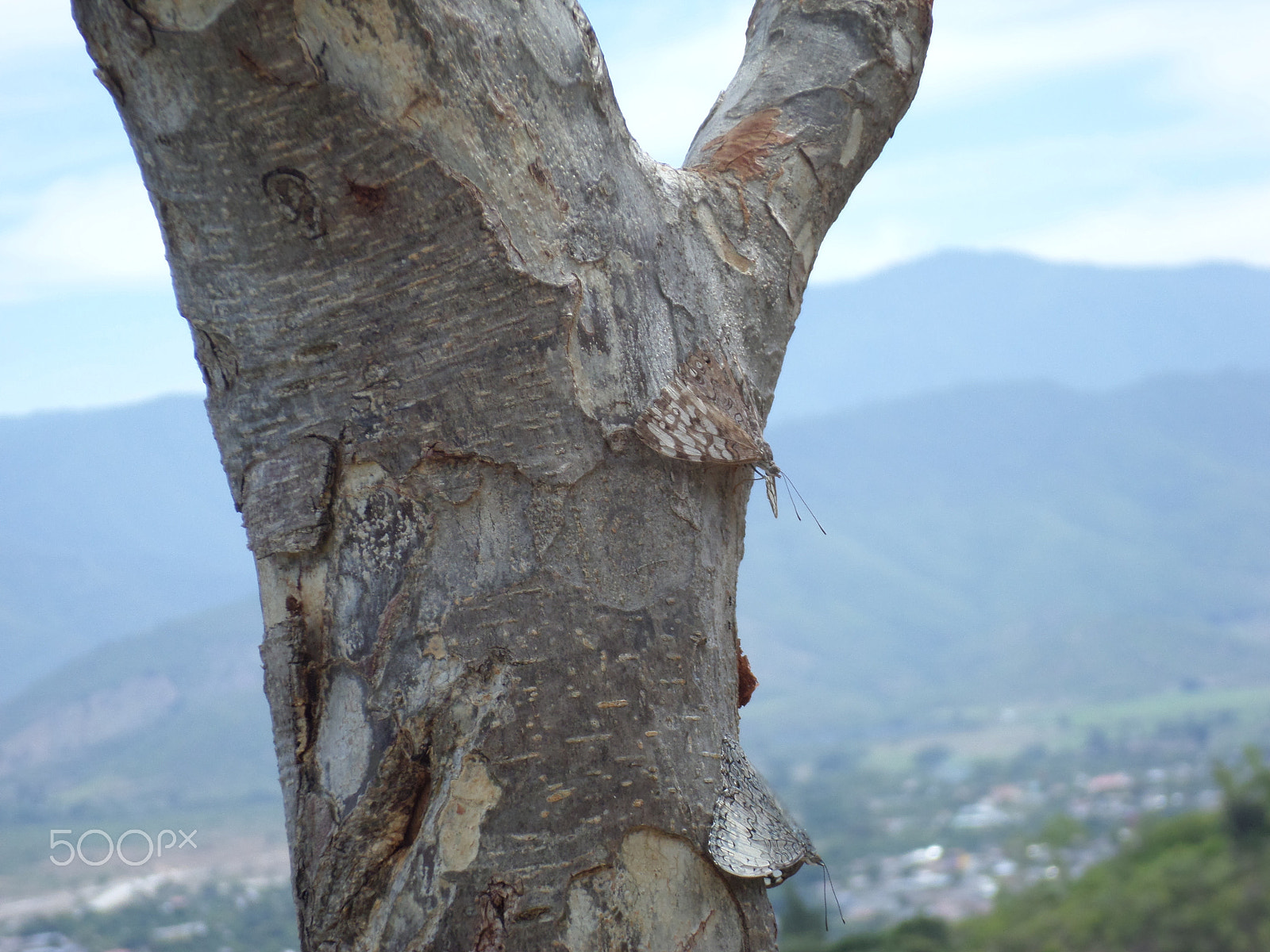 Samsung ST150F/ST151F/ST152F sample photo. Un par photography