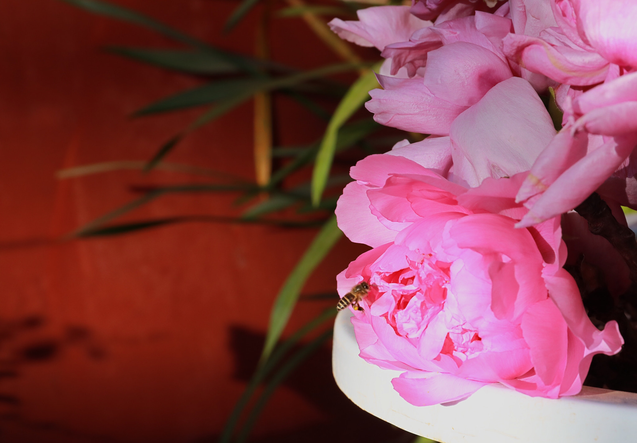 Canon EF 24-70mm F4L IS USM sample photo
