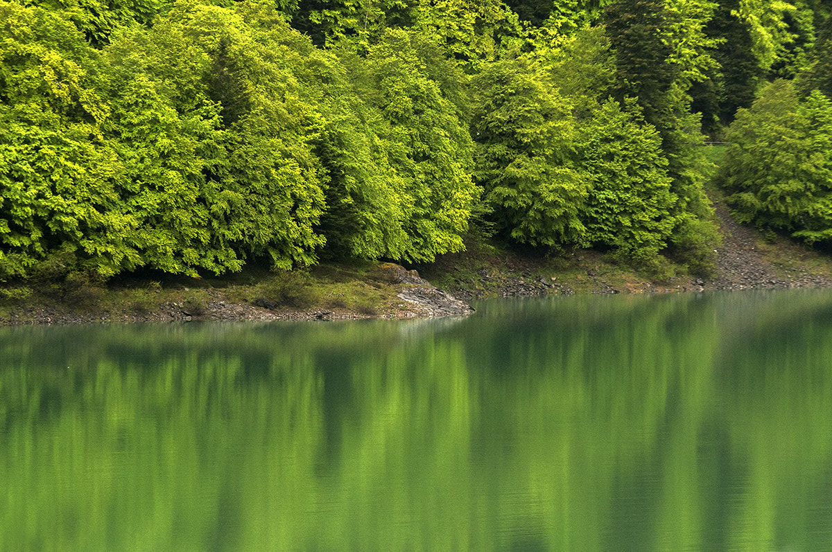 Nikon D300 sample photo. Ossau photography