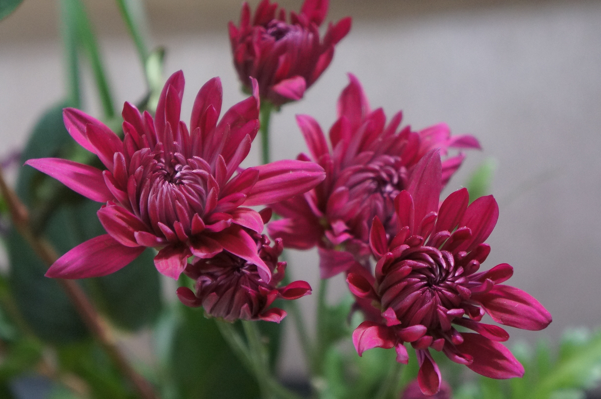 Sony E 18-55mm F3.5-5.6 OSS sample photo. 8 photography