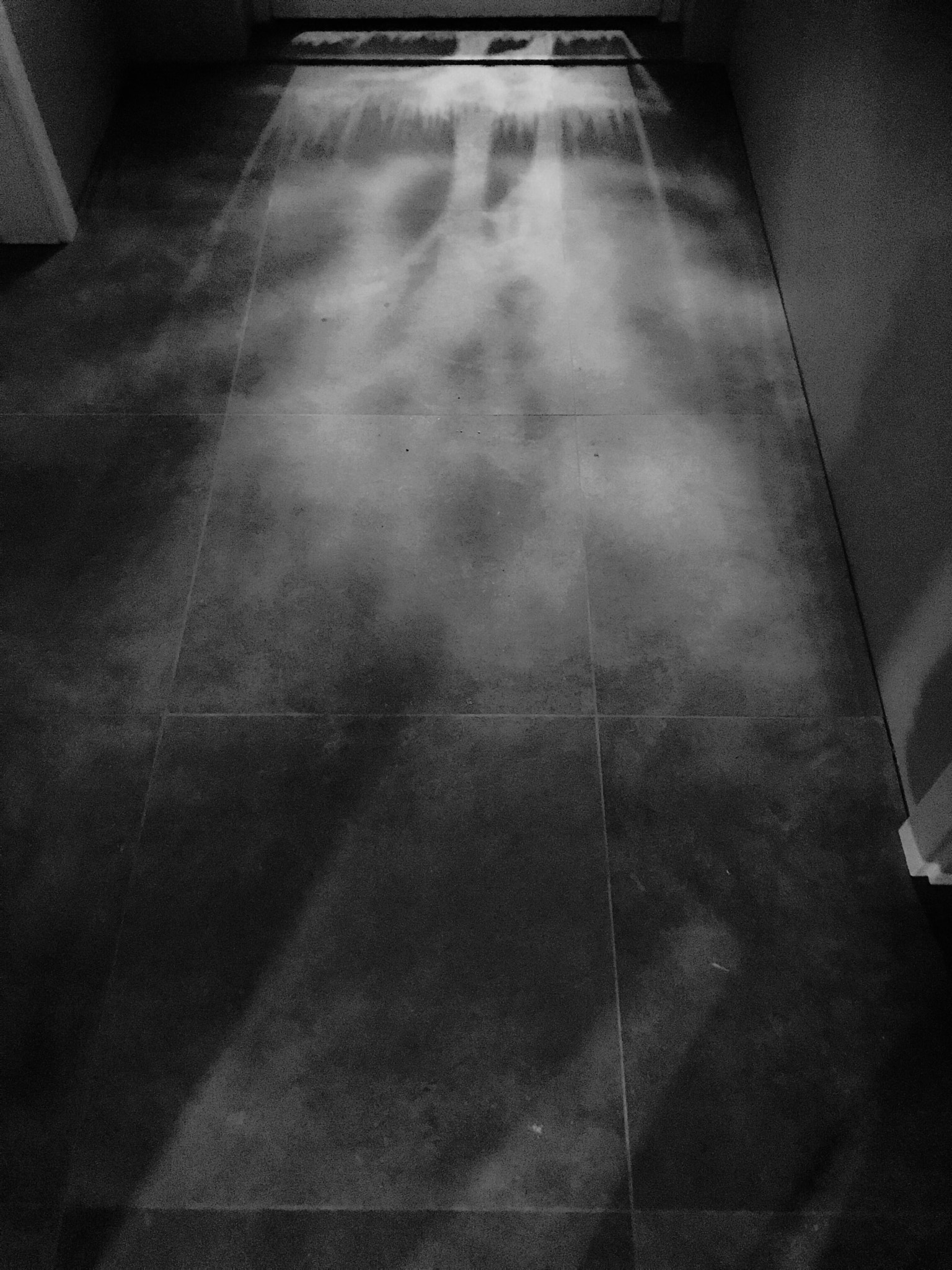 Apple iPhone9,4 sample photo. Shadows..... photography