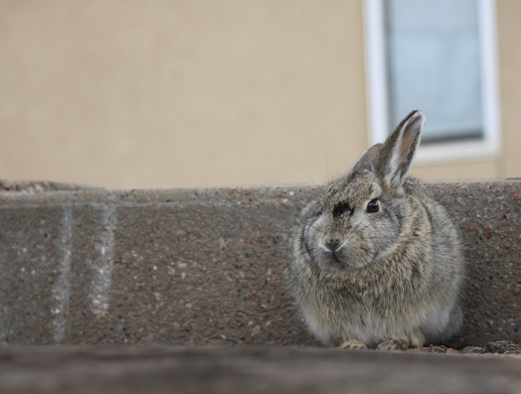 Canon EF 28-90mm f/4-5.6 USM sample photo. The built environment photography