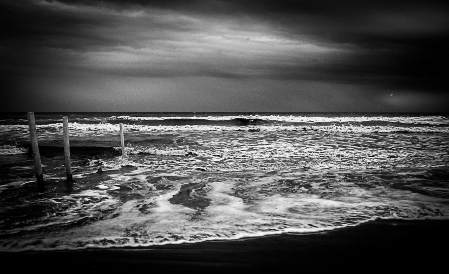 Canon EOS 400D (EOS Digital Rebel XTi / EOS Kiss Digital X) sample photo. Galveston photography