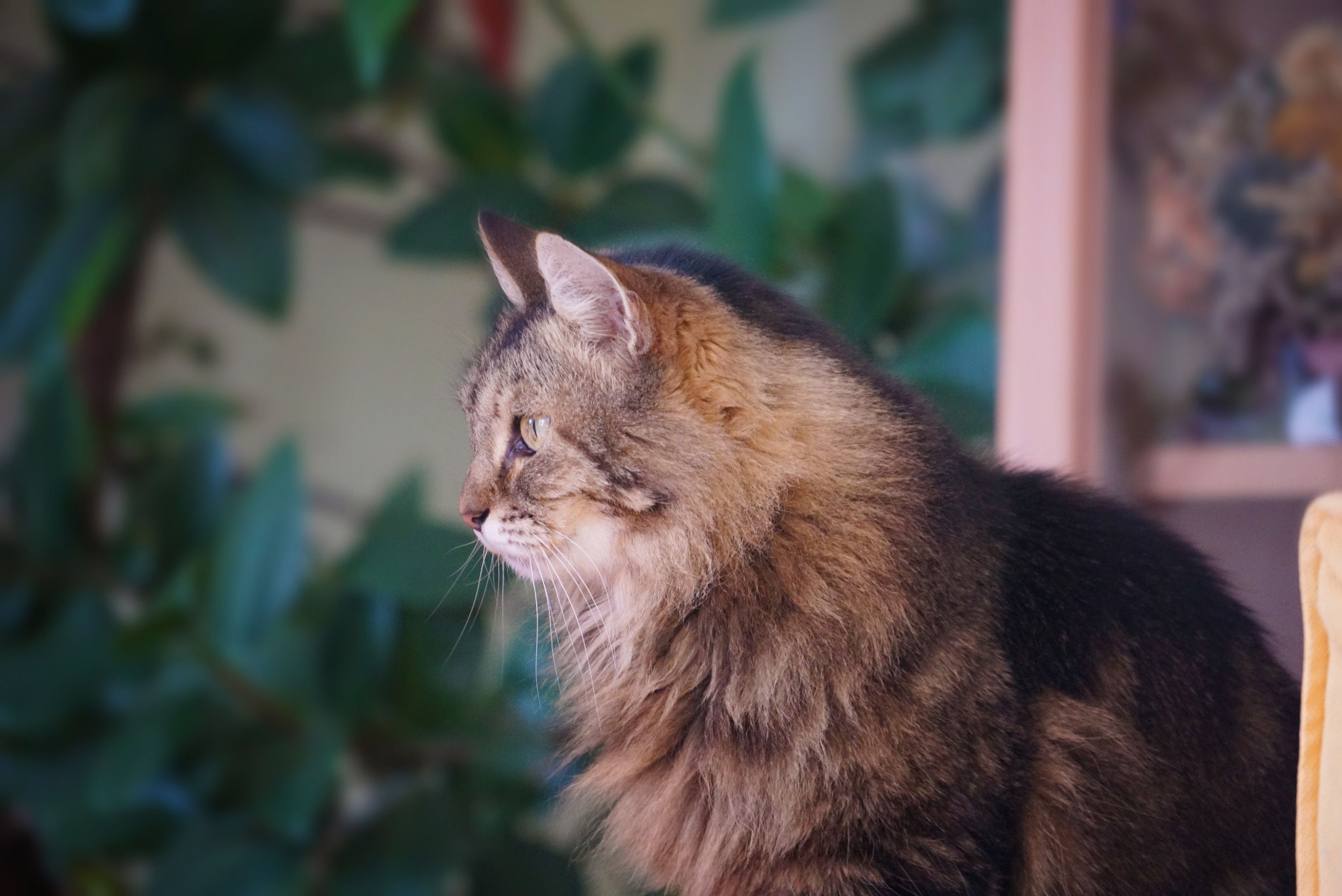 Sony E 18-200mm F3.5-6.3 OSS sample photo. Le penseur photography